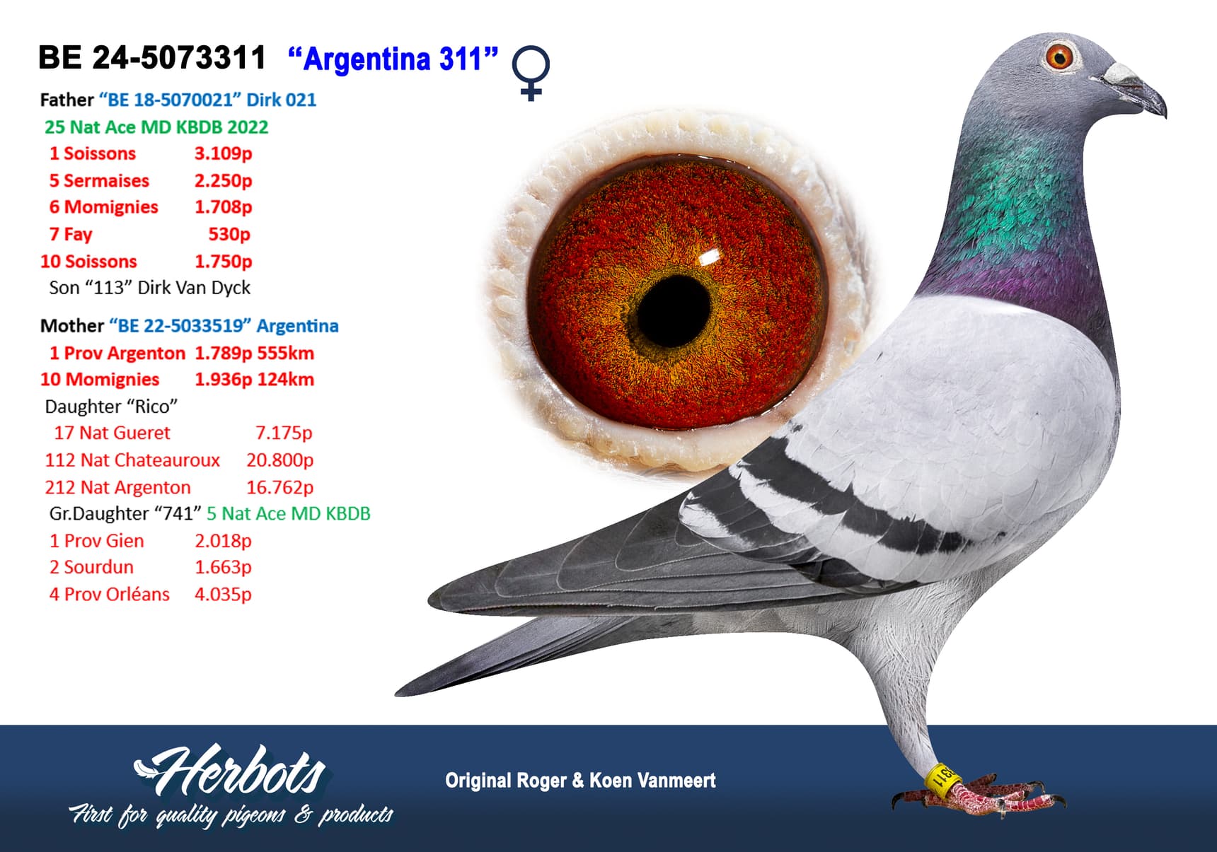 ‘Argentina 311’