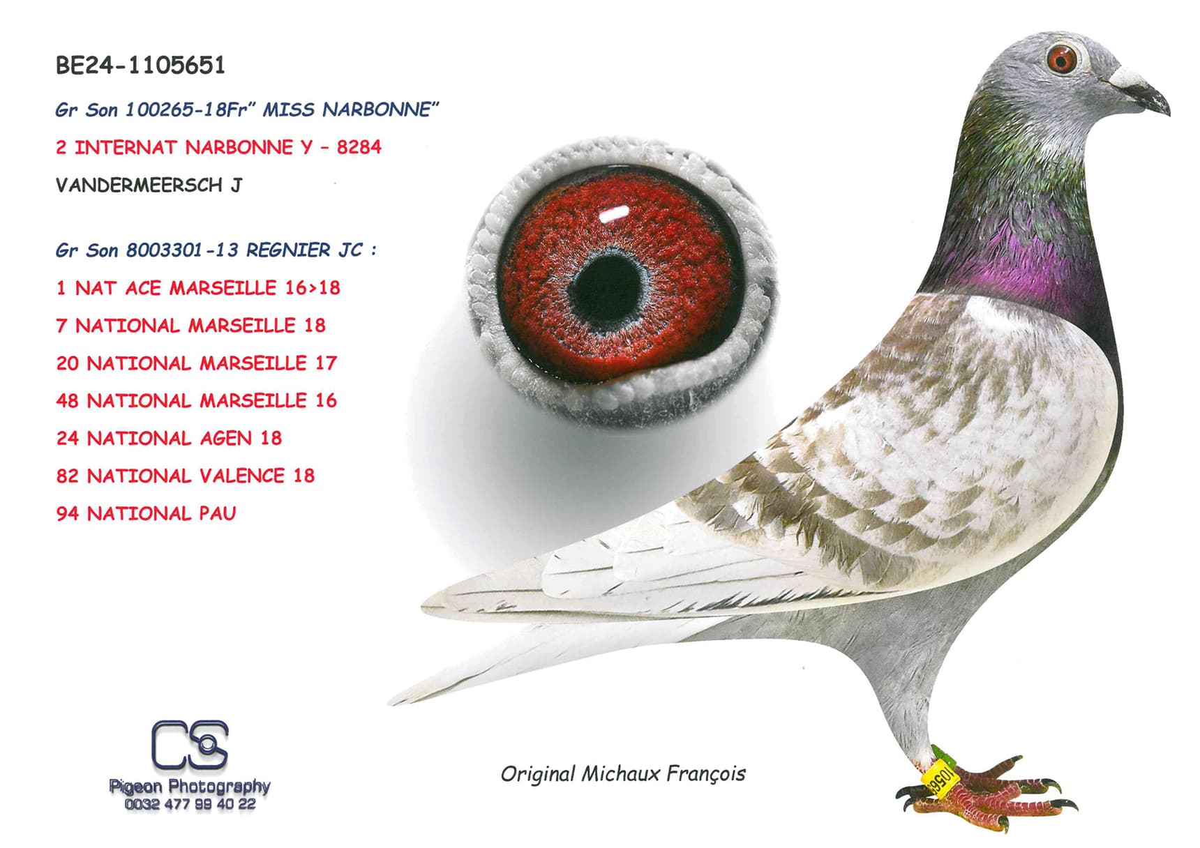 Gr Son "MISS NARBONNE"