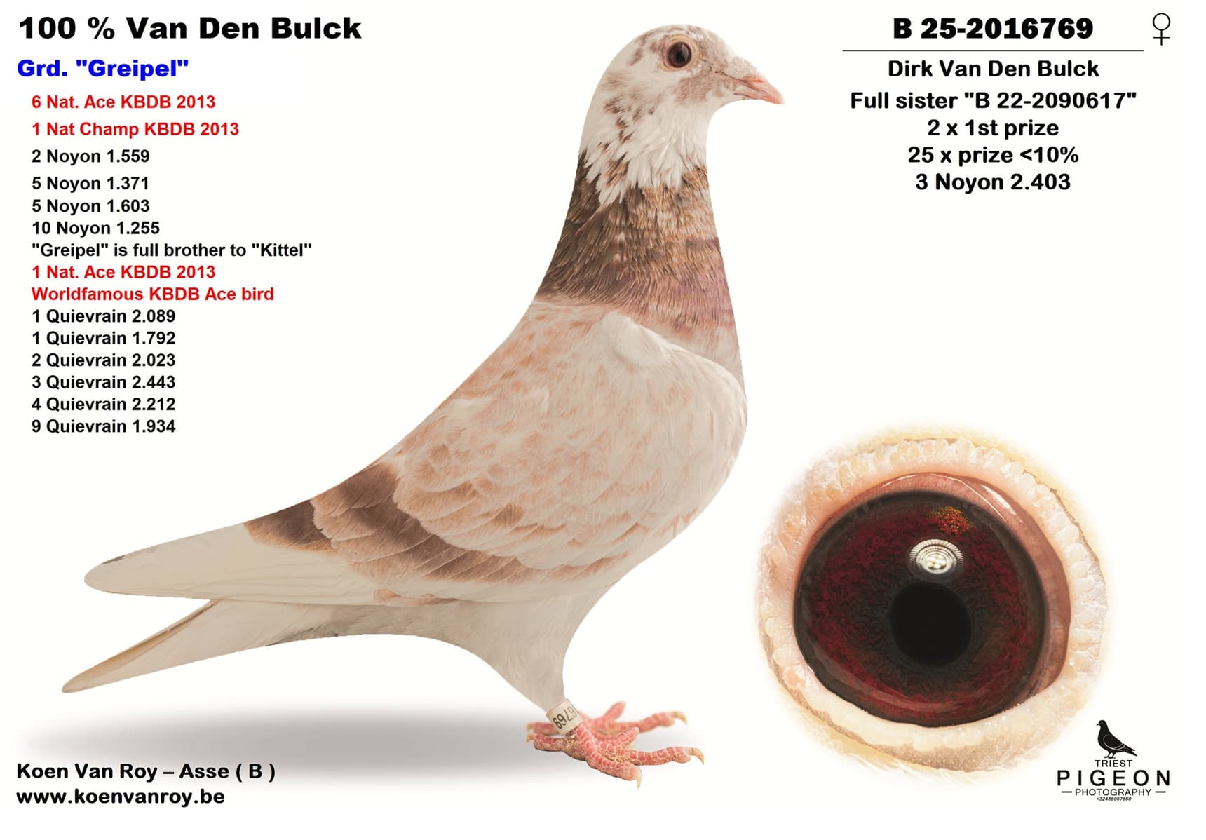 100 % Van Den Bulck Grd. "Greipel"