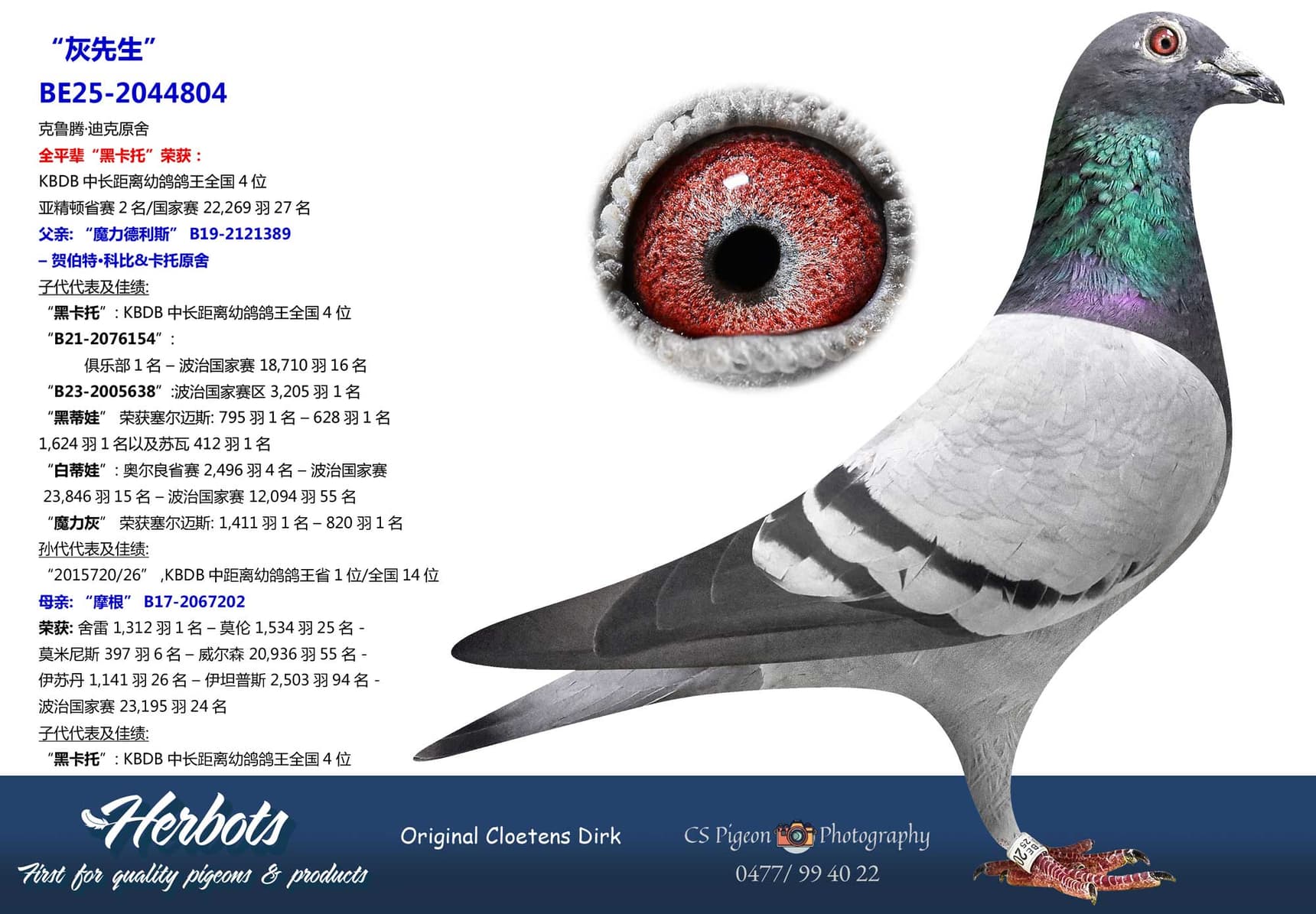 pigeon: undefined