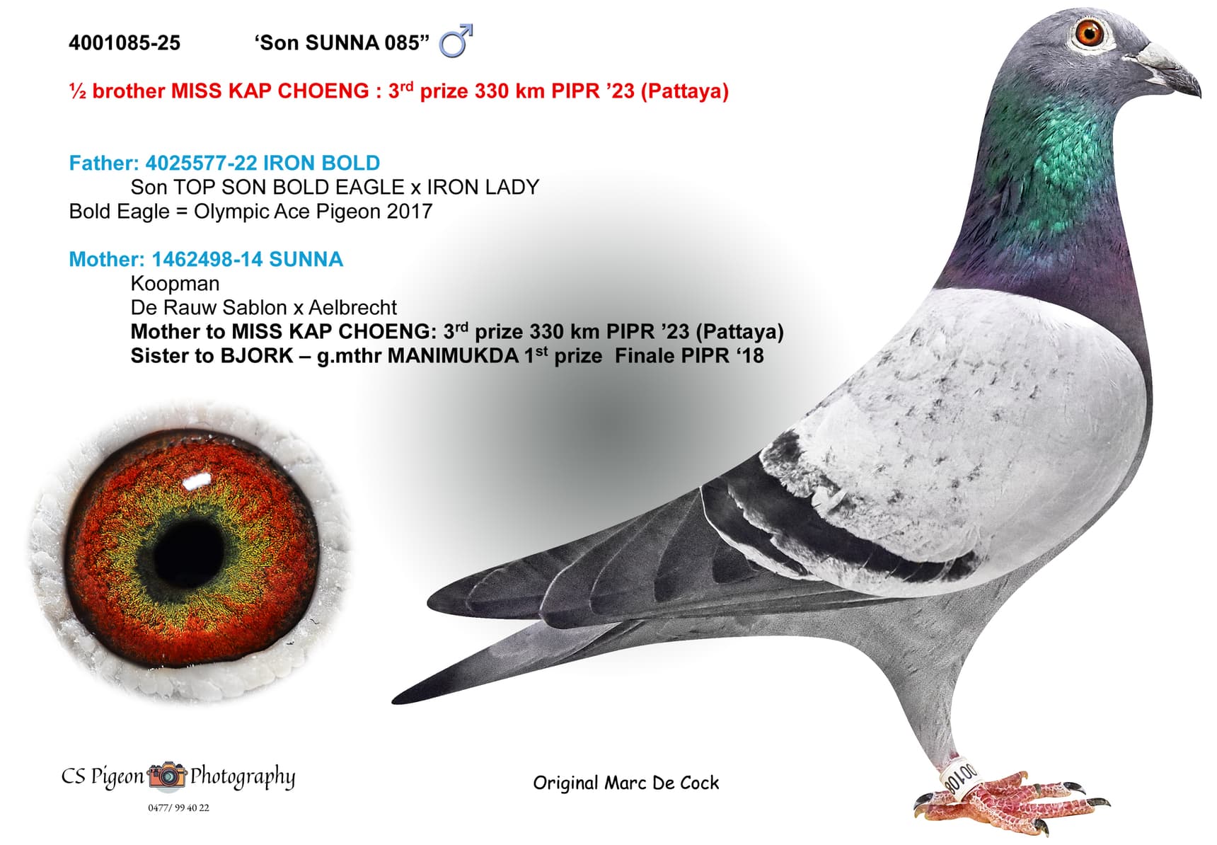 'Son SUNNA 085'