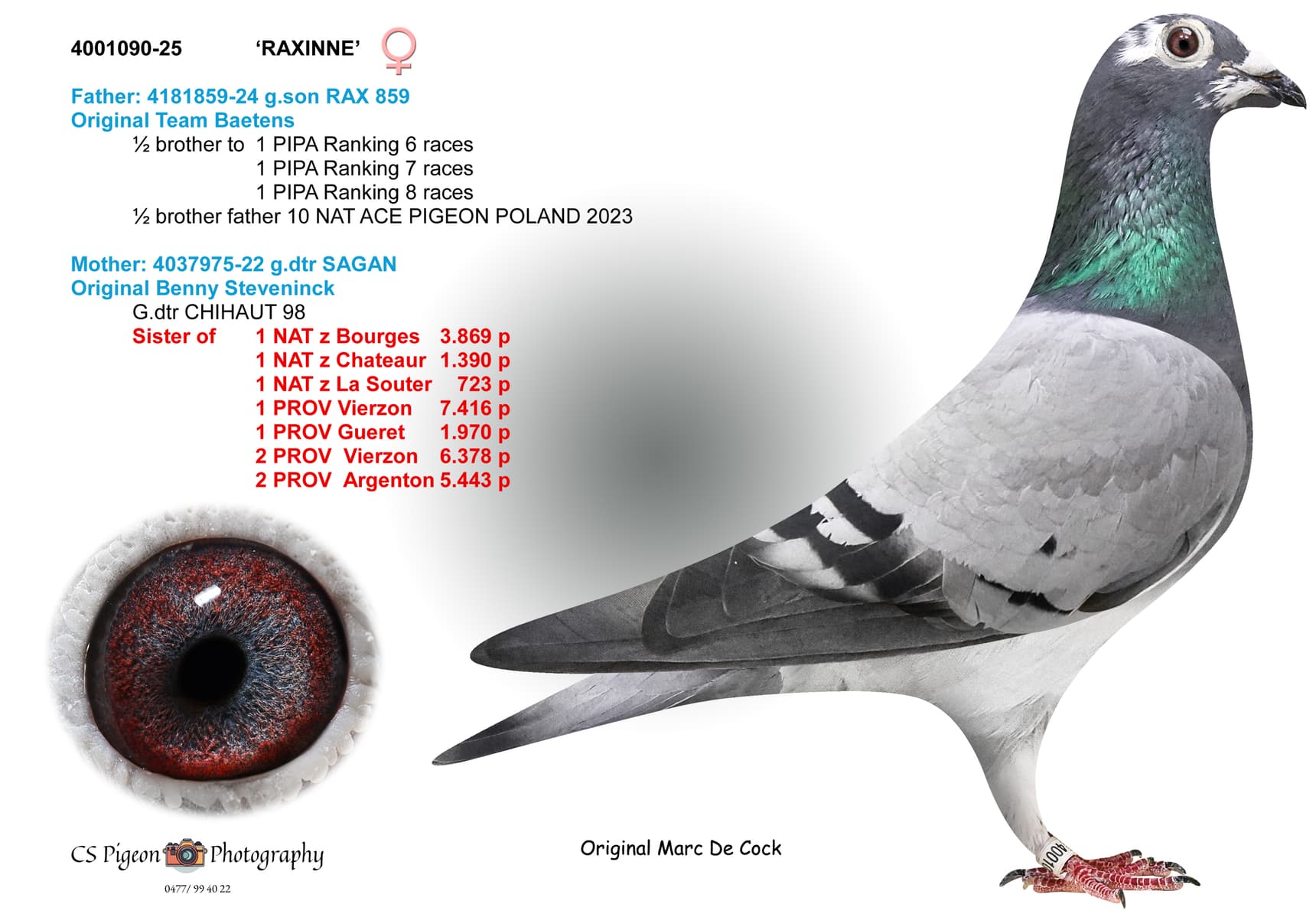 'Raxinne'