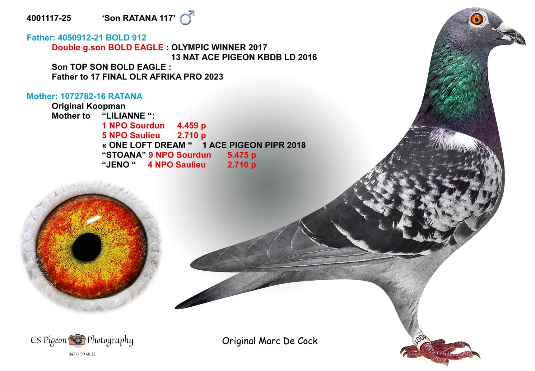 ‘Son RATANA 117’
