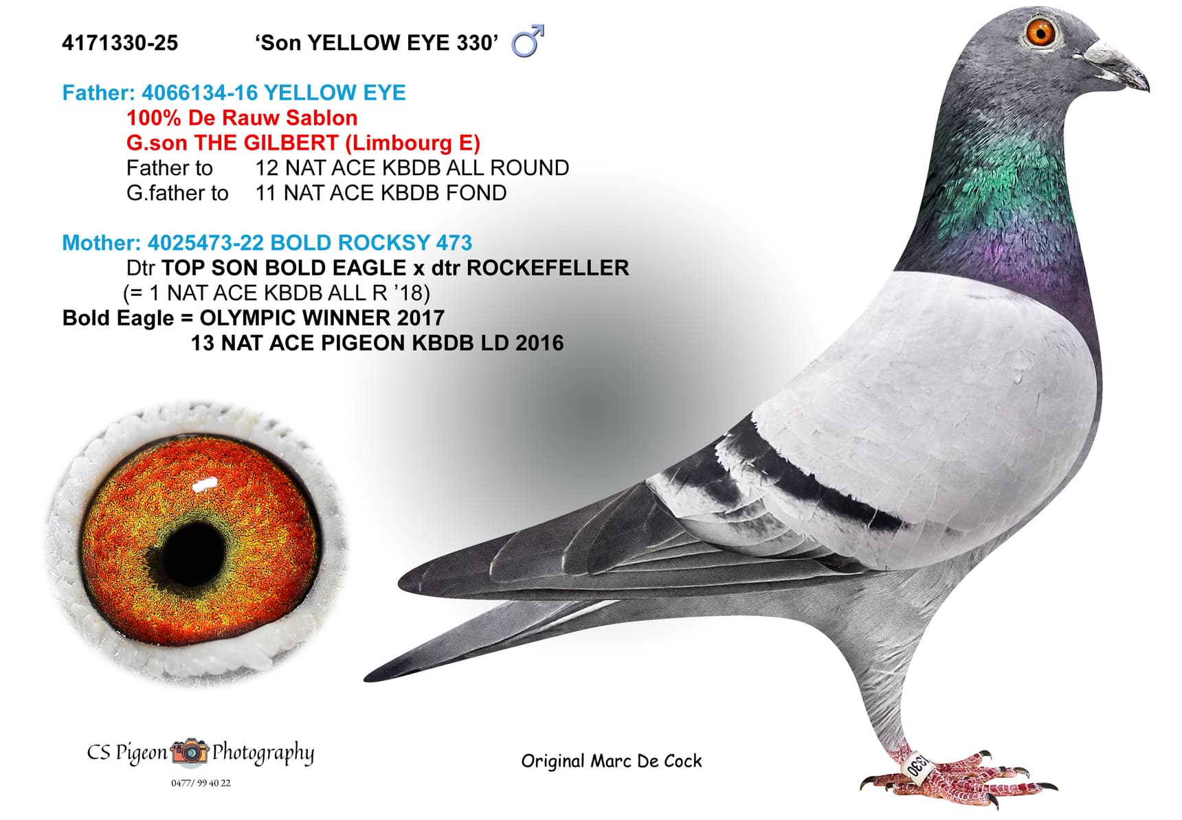 'Son YELLOW EYE 330'