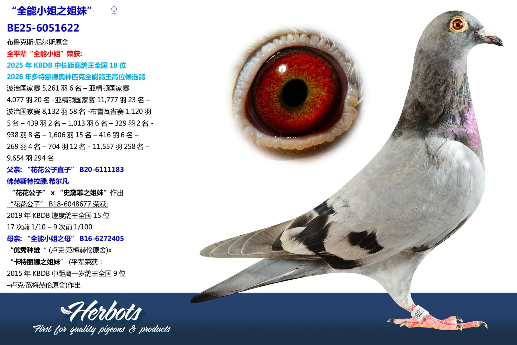 pigeon: undefined