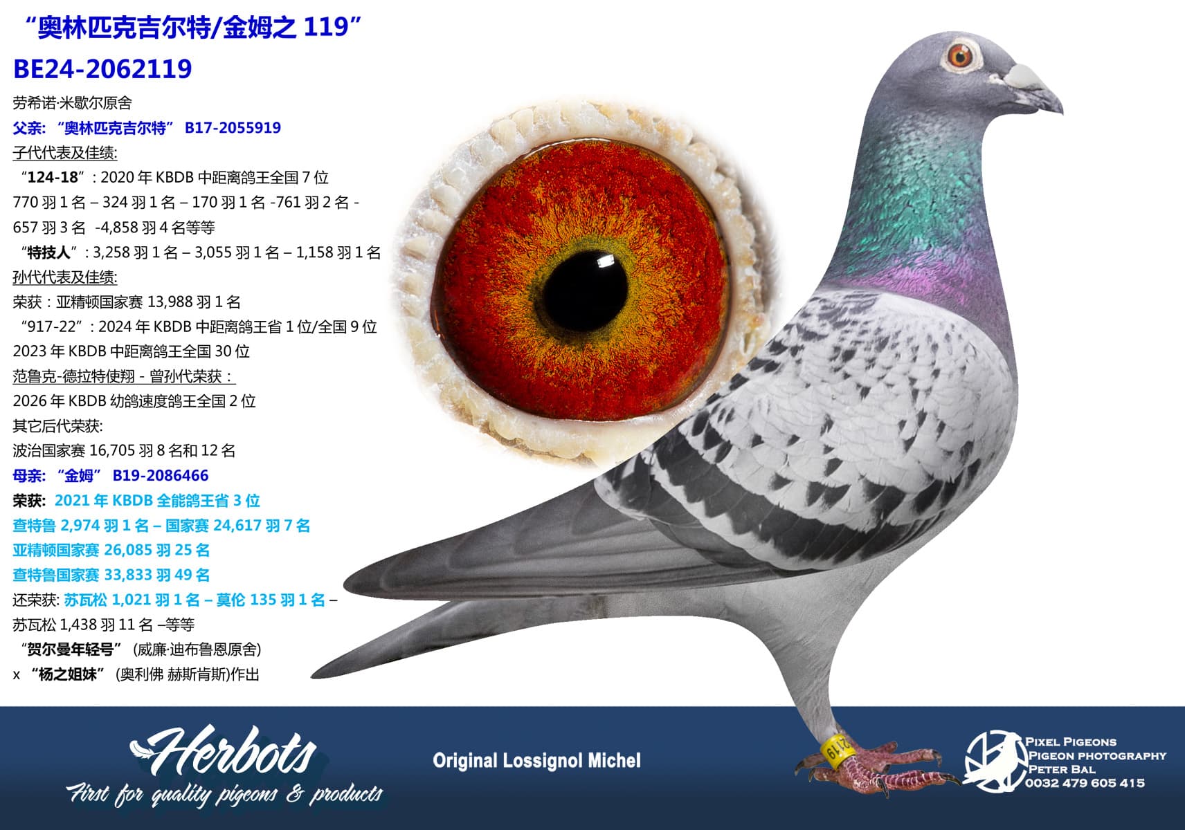 pigeon: undefined