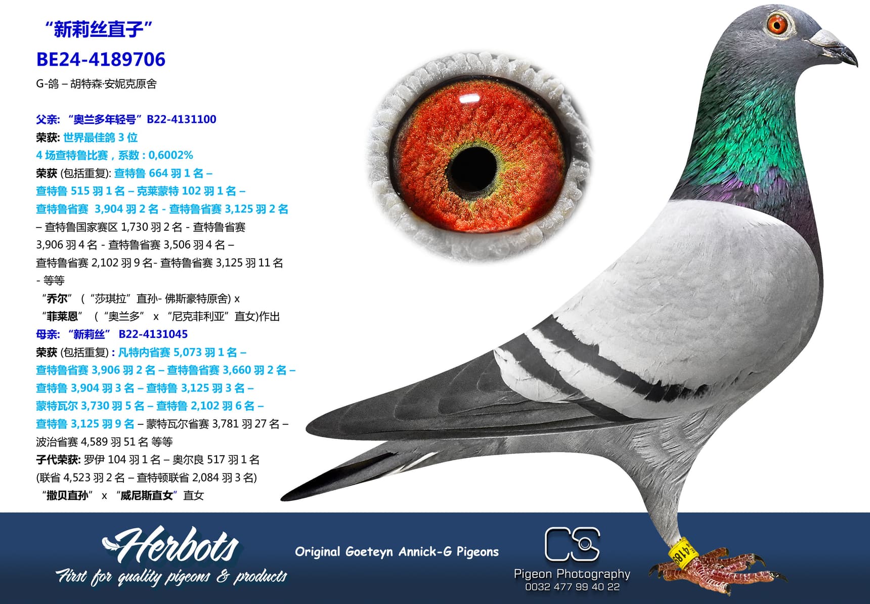 pigeon: undefined
