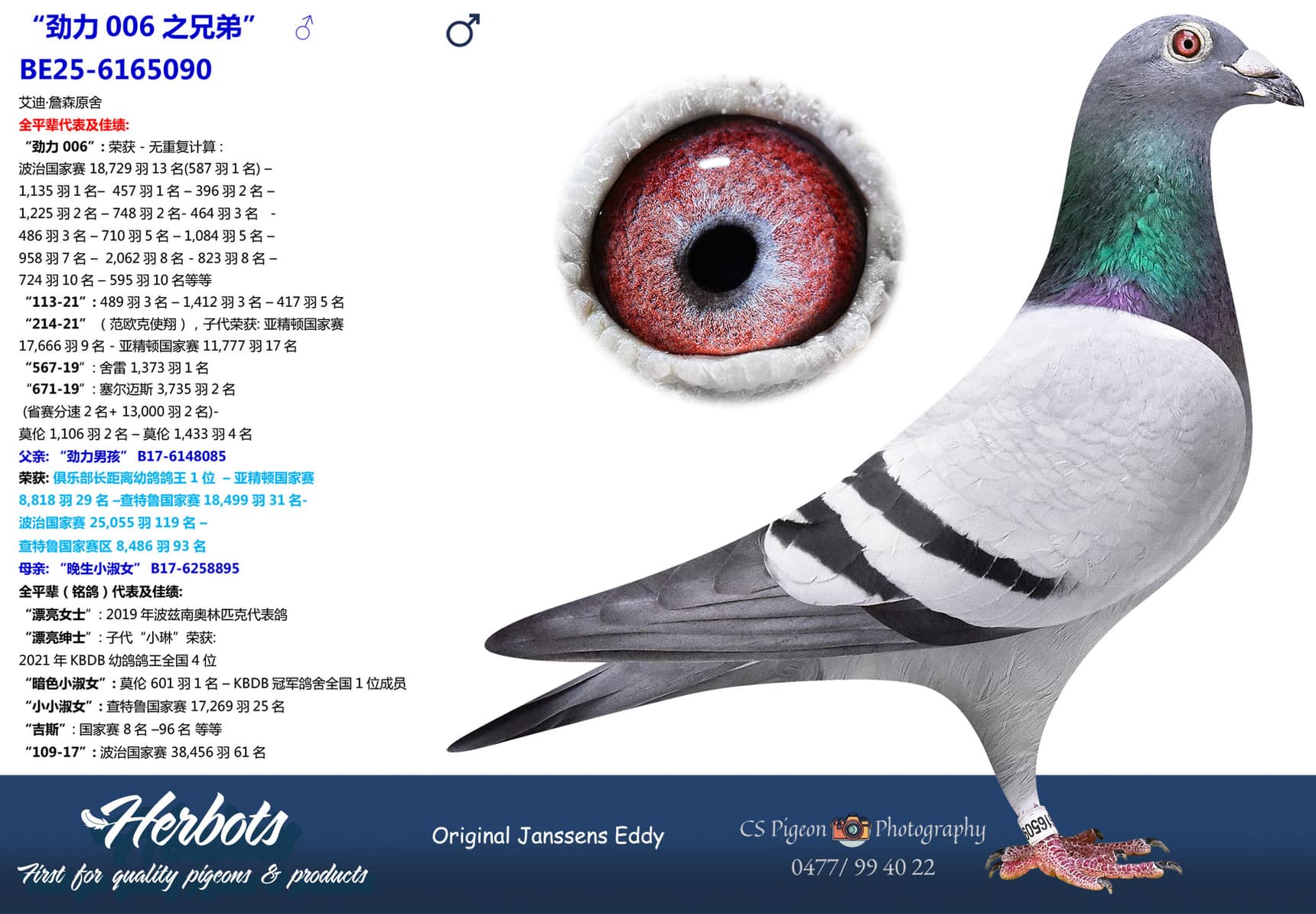 pigeon: undefined