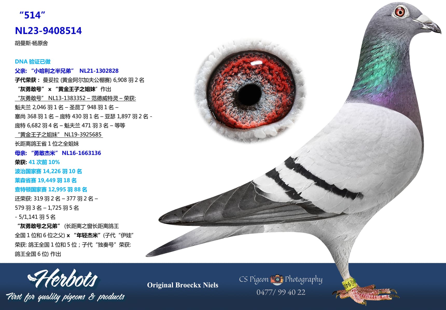 pigeon: undefined