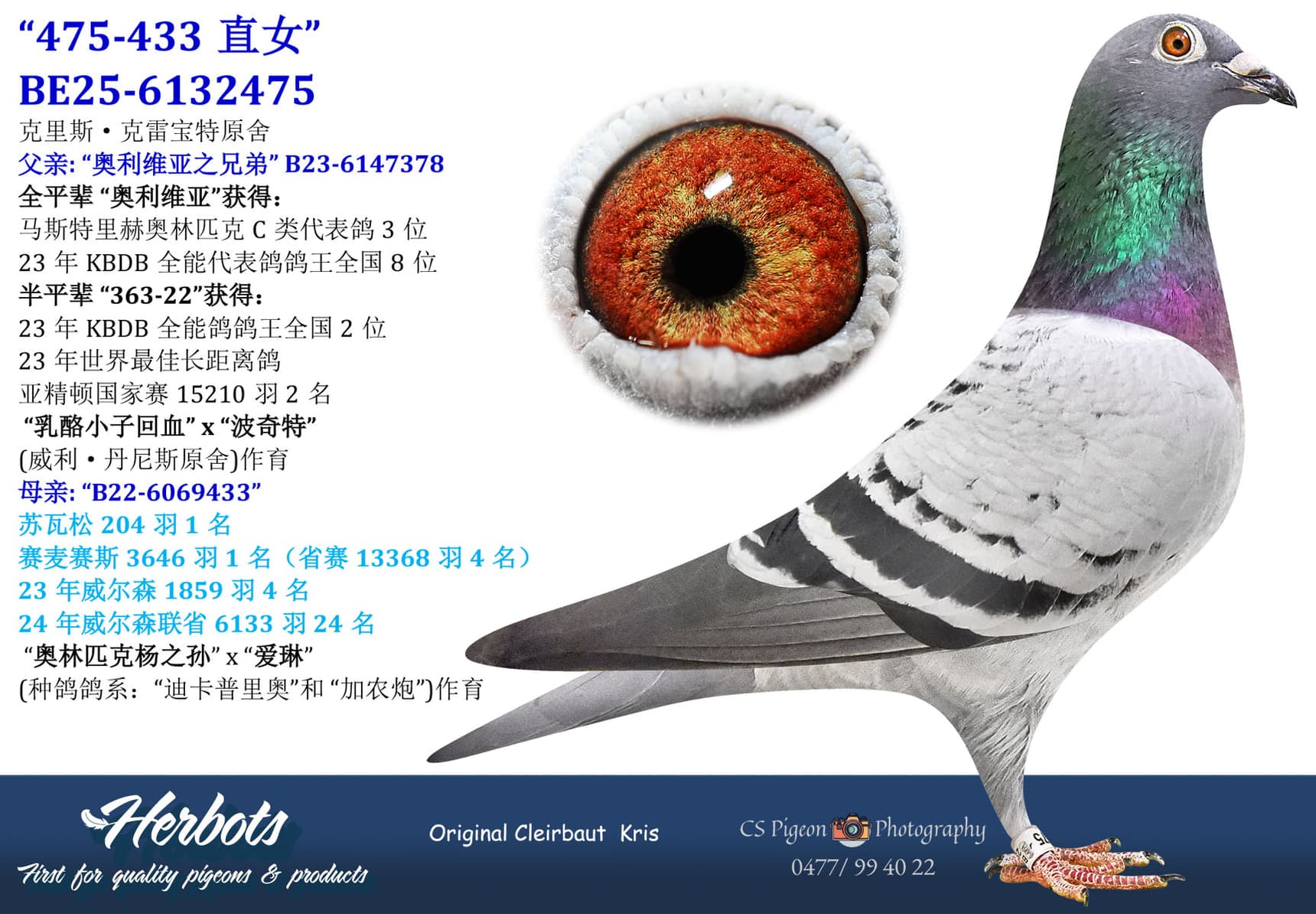 pigeon: undefined