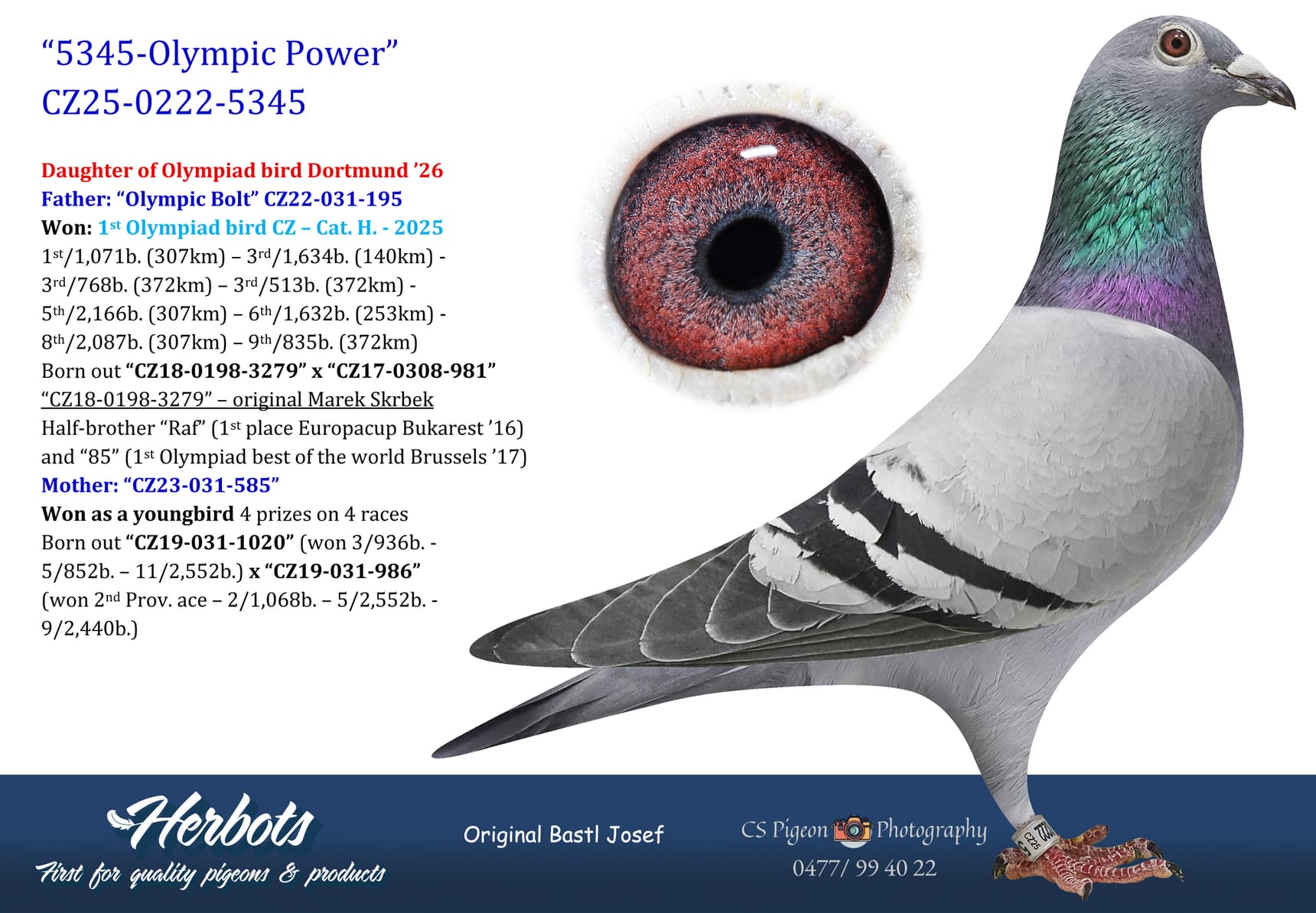 pigeon: undefined