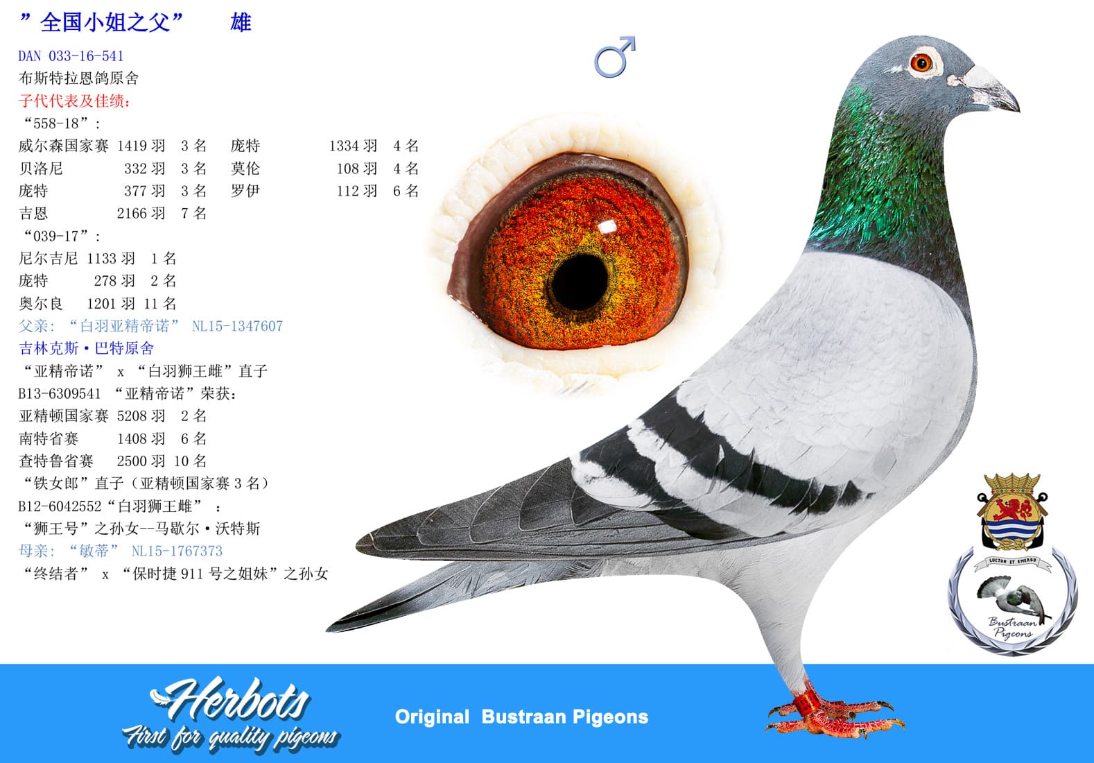 pigeon: undefined