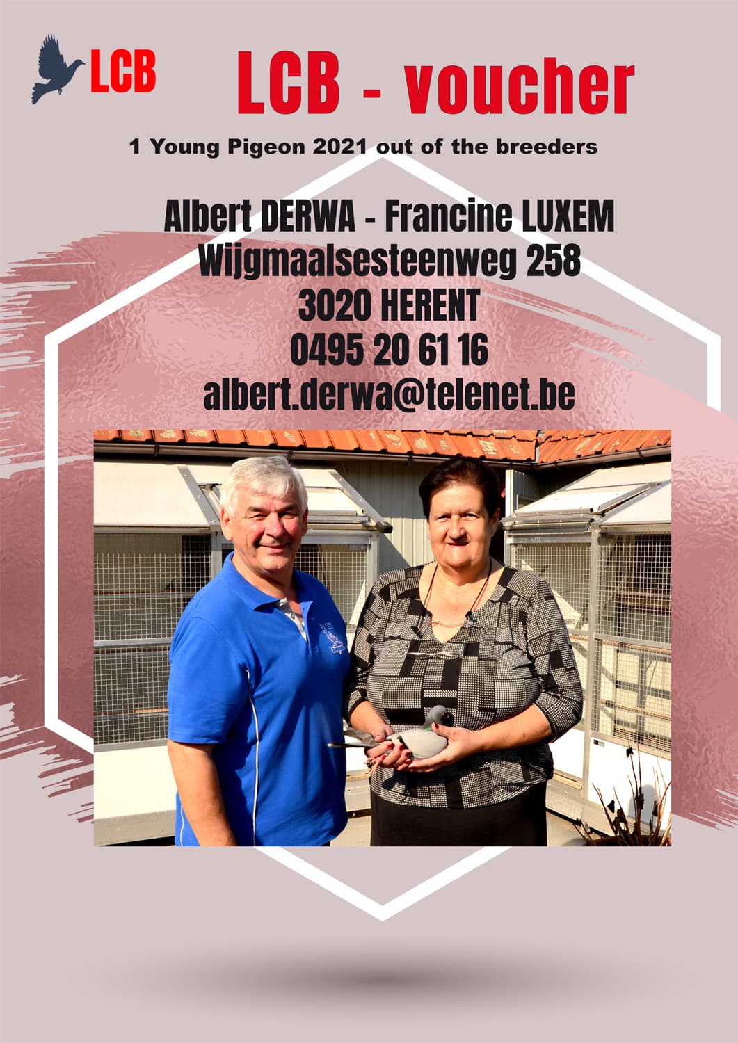 pigeon: Voucher youngster 2021 out of breeders