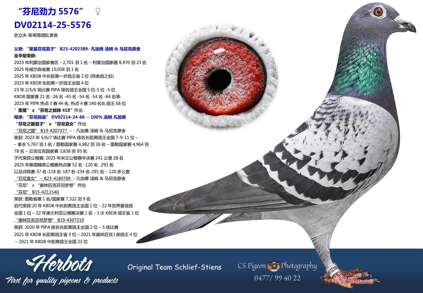 pigeon: undefined