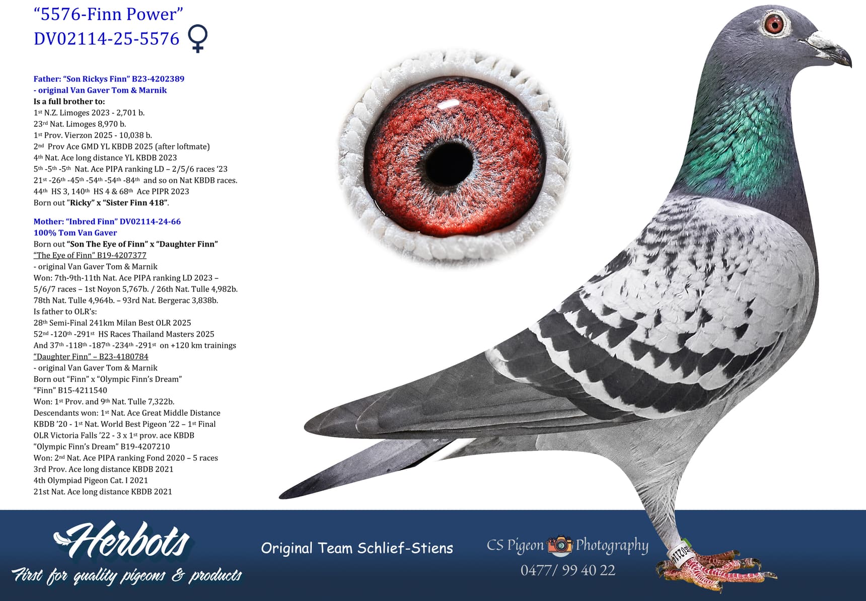 pigeon: undefined