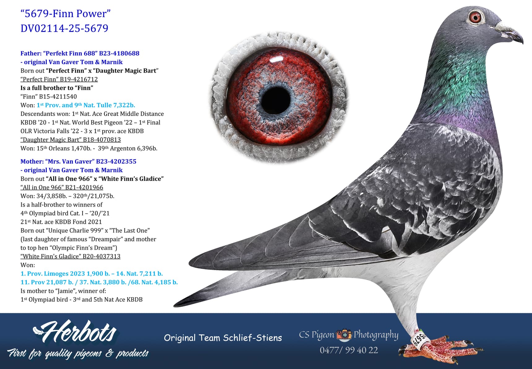 pigeon: undefined
