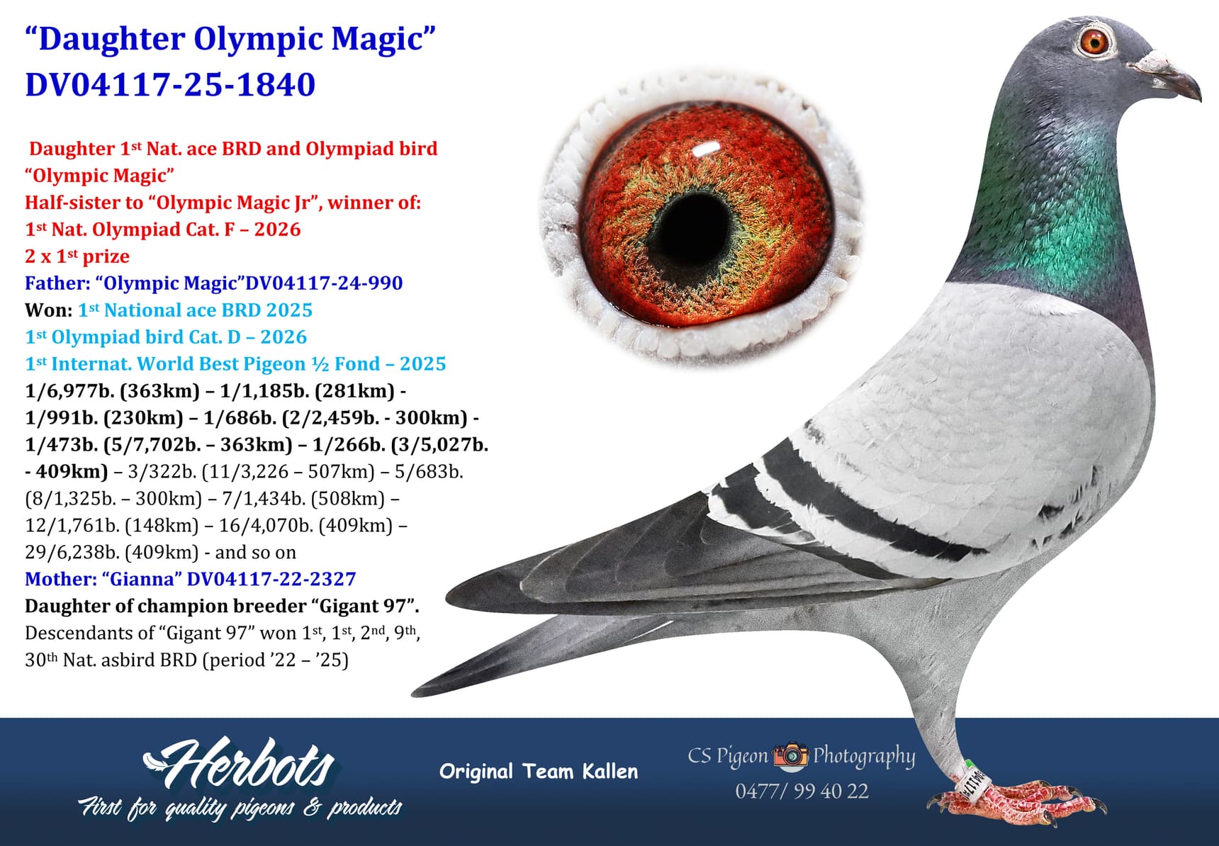 pigeon: undefined