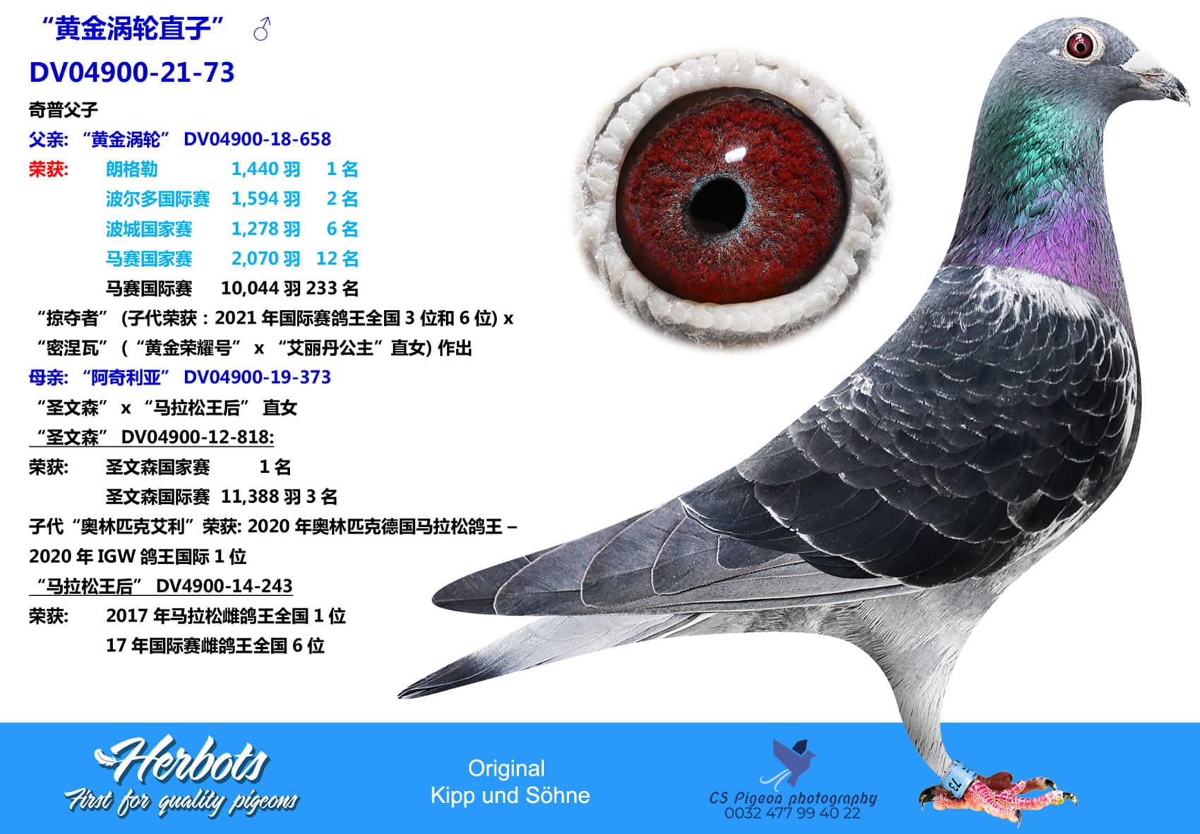 pigeon: undefined