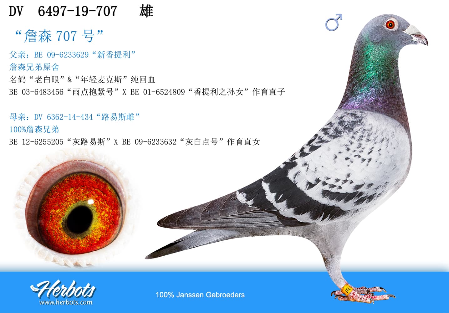 pigeon: undefined