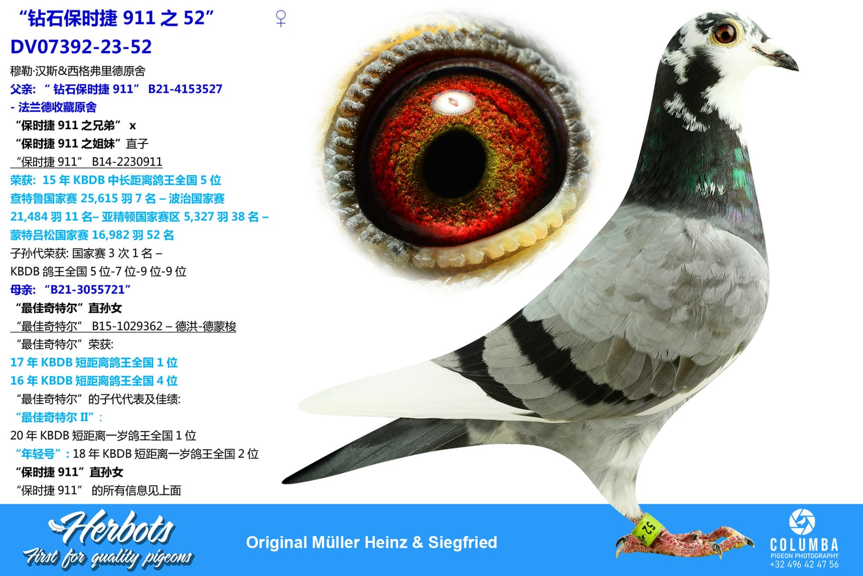 pigeon: “钻石保时捷911直子52”