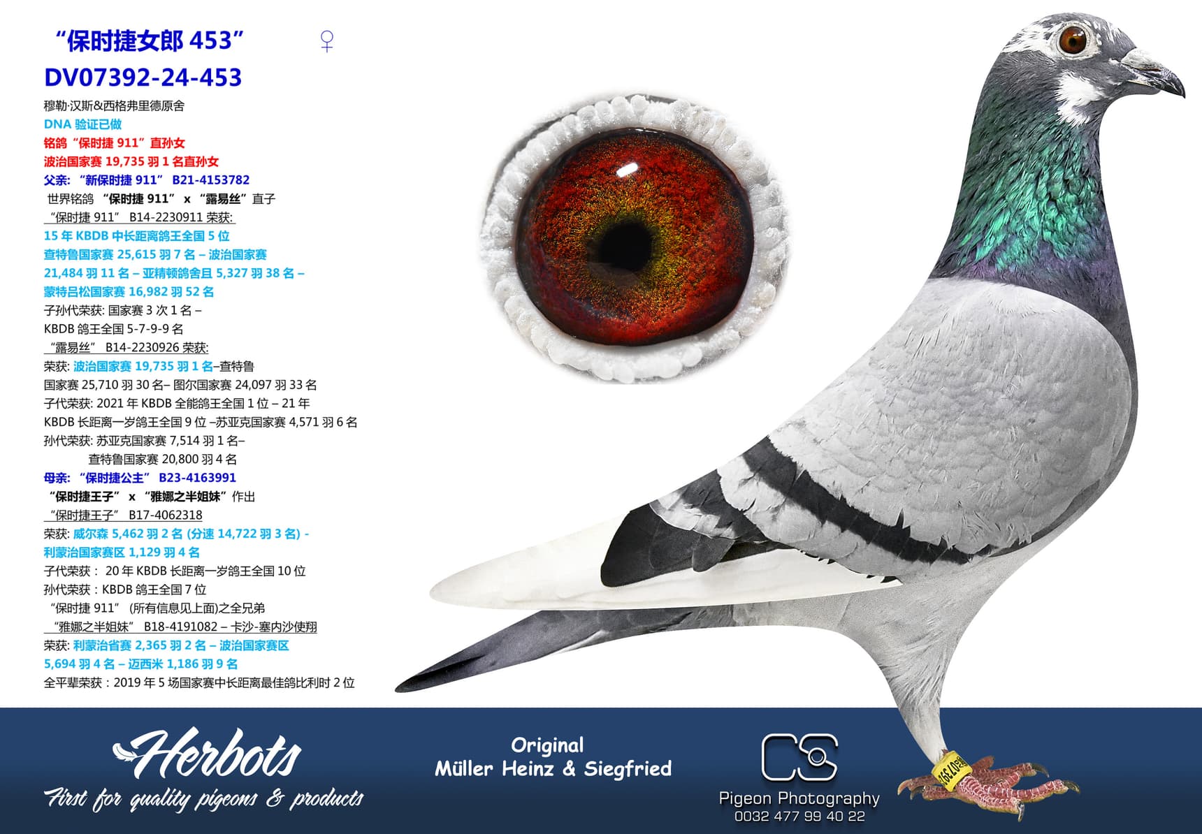 pigeon: “保时捷女郎453”