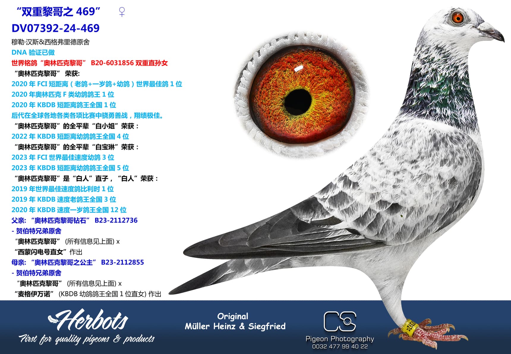 pigeon: “双重黎哥之469”