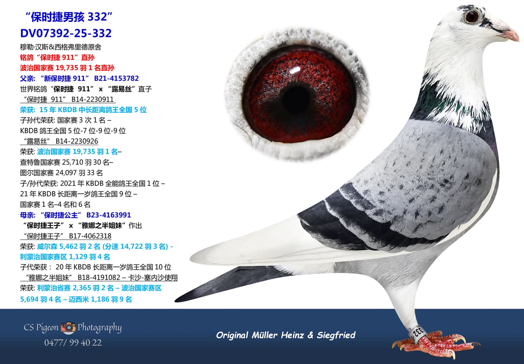 pigeon: undefined