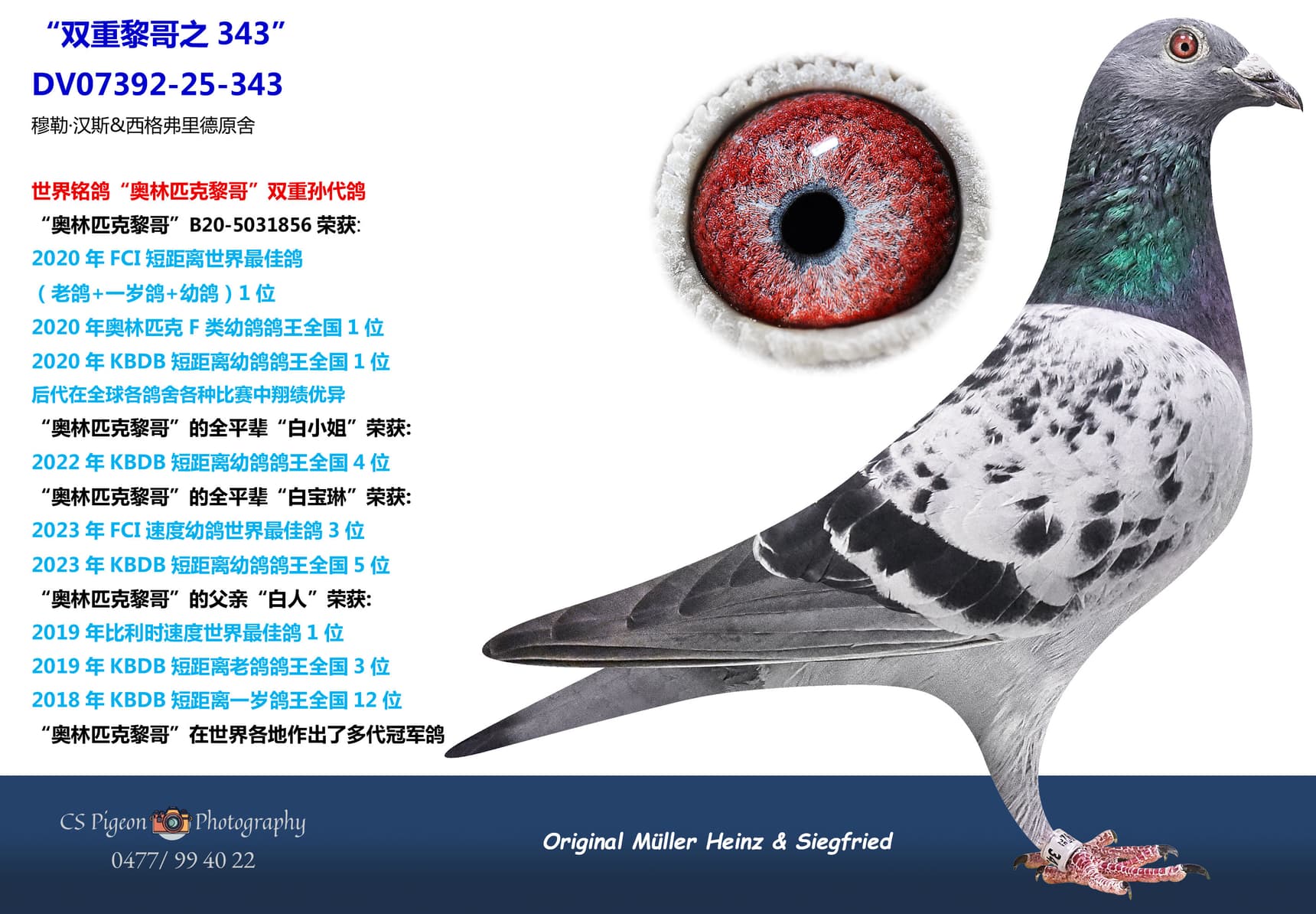 pigeon: undefined