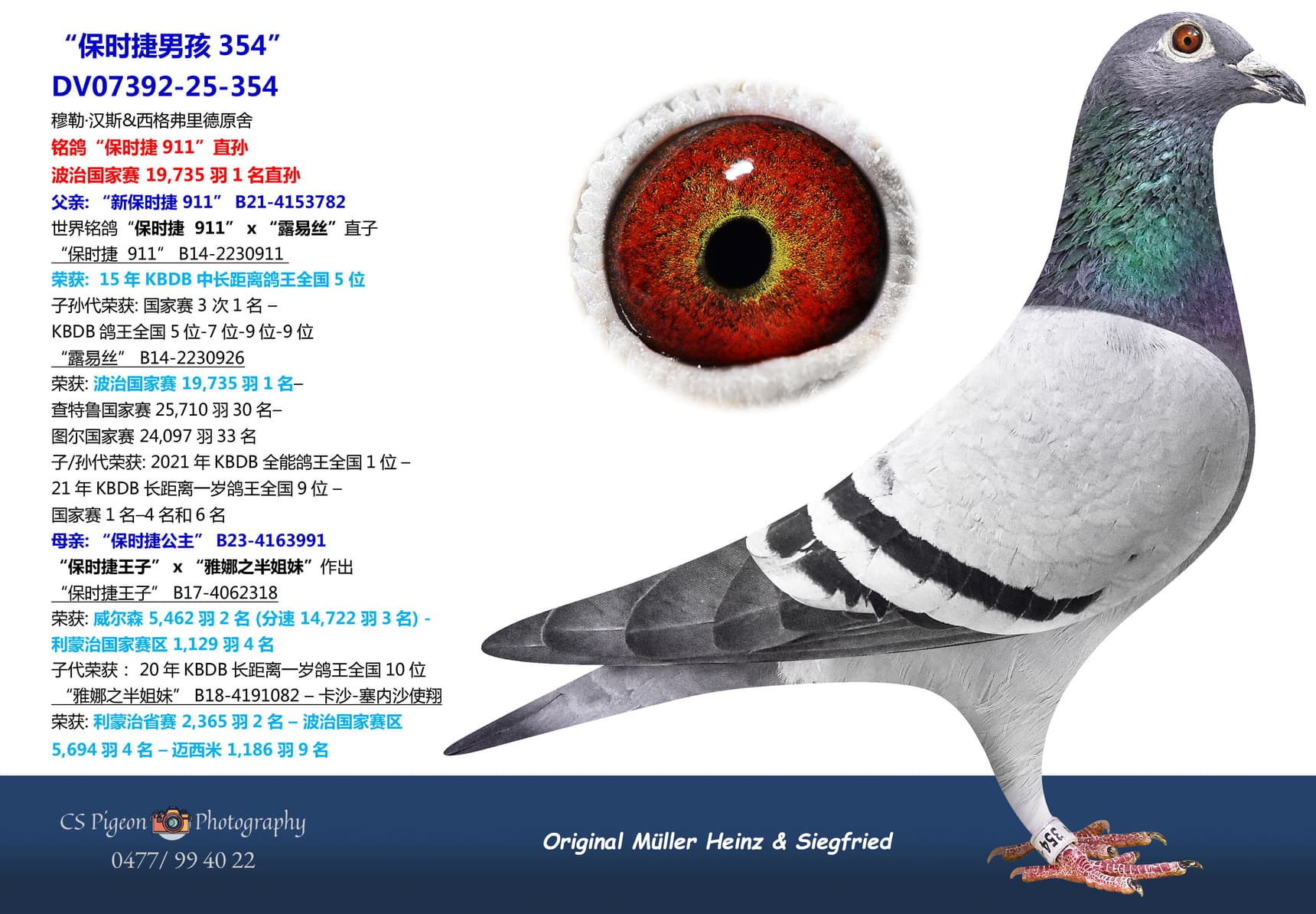 pigeon: undefined
