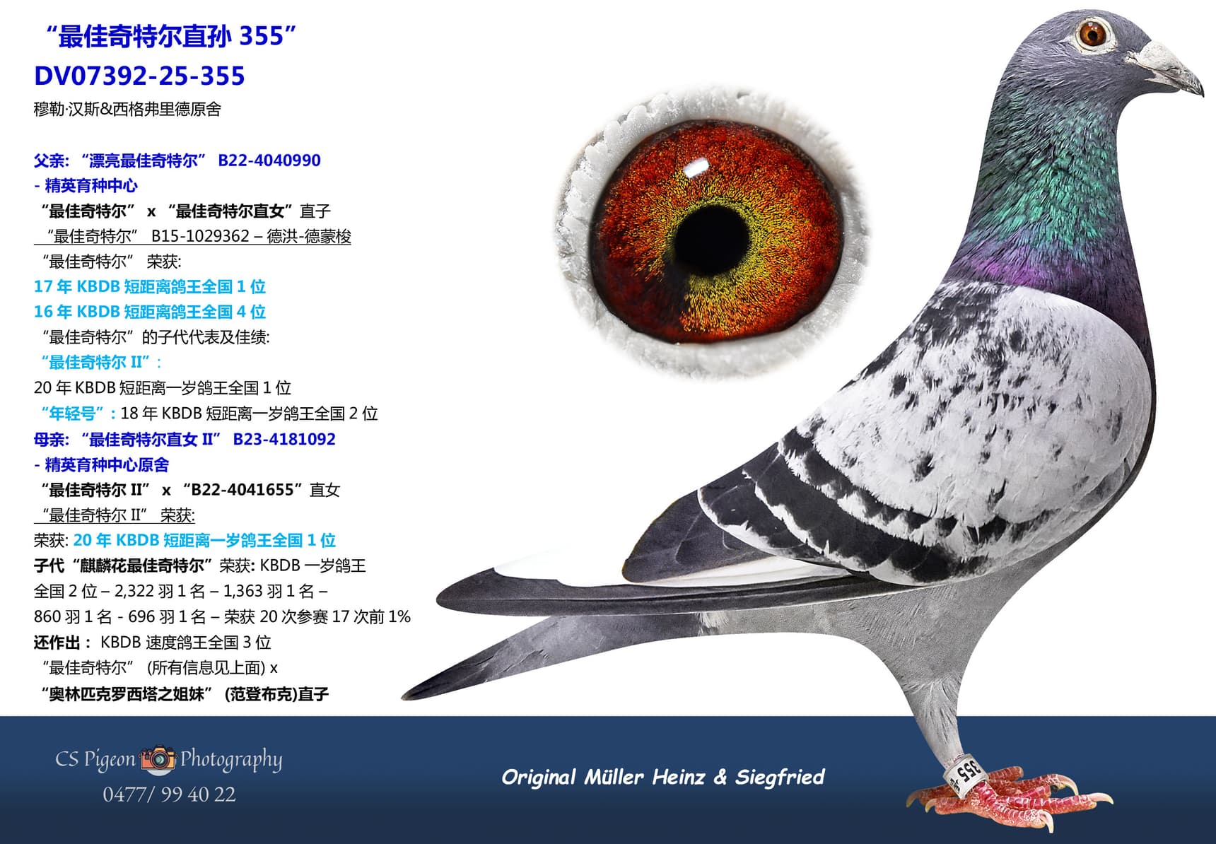 pigeon: undefined