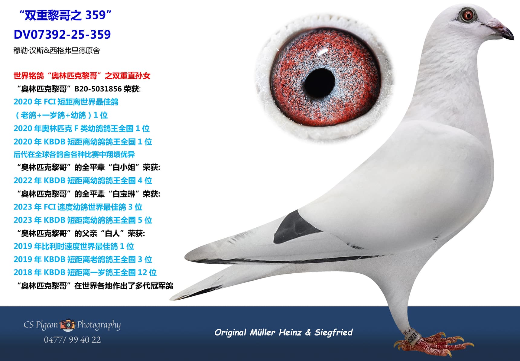 pigeon: undefined