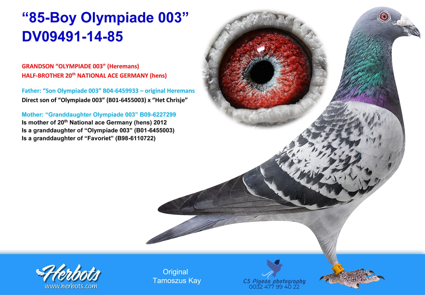 pigeon: “85-Boy Olympiade 003”