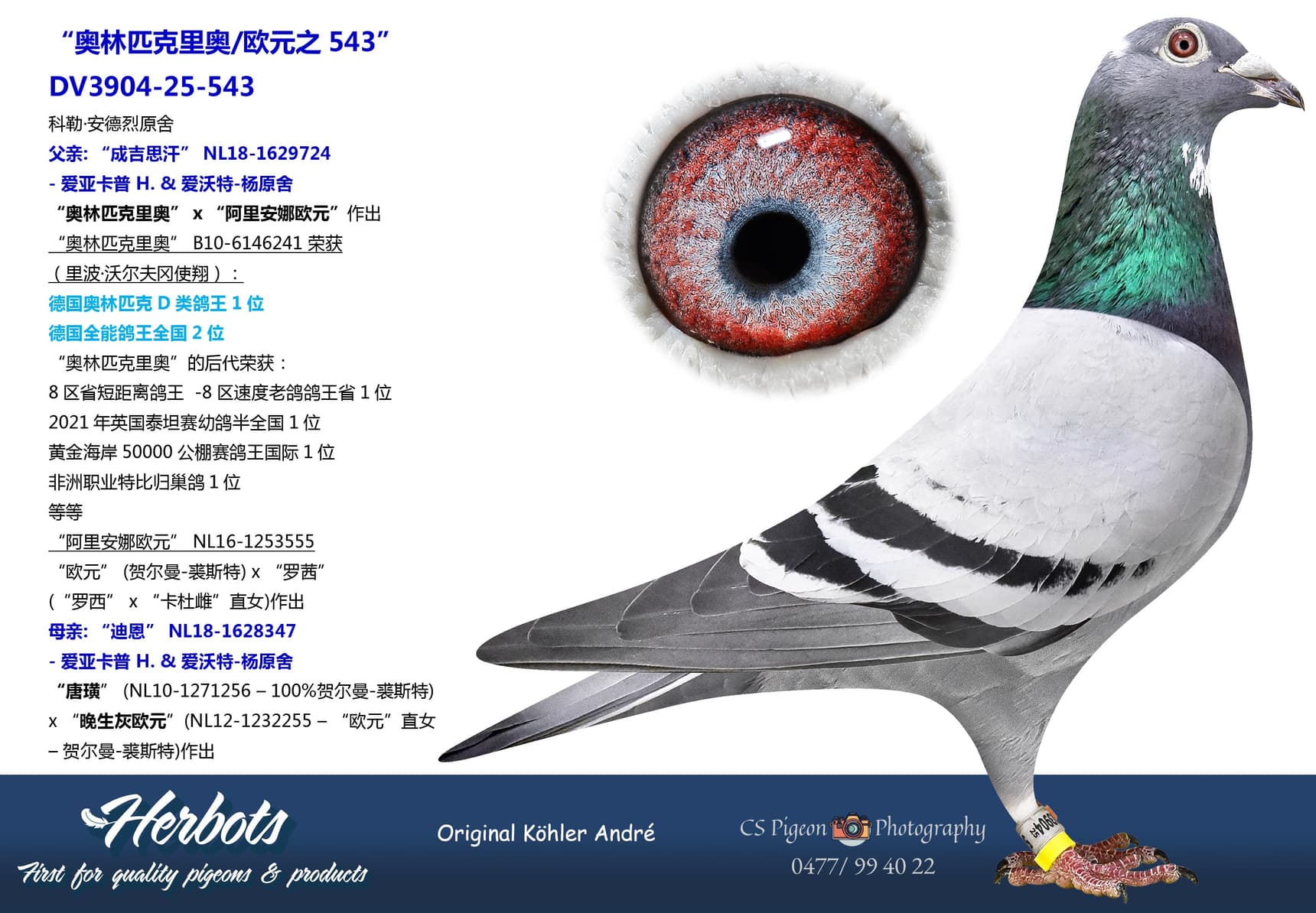 pigeon: “奥林匹克里奥/欧元之543”