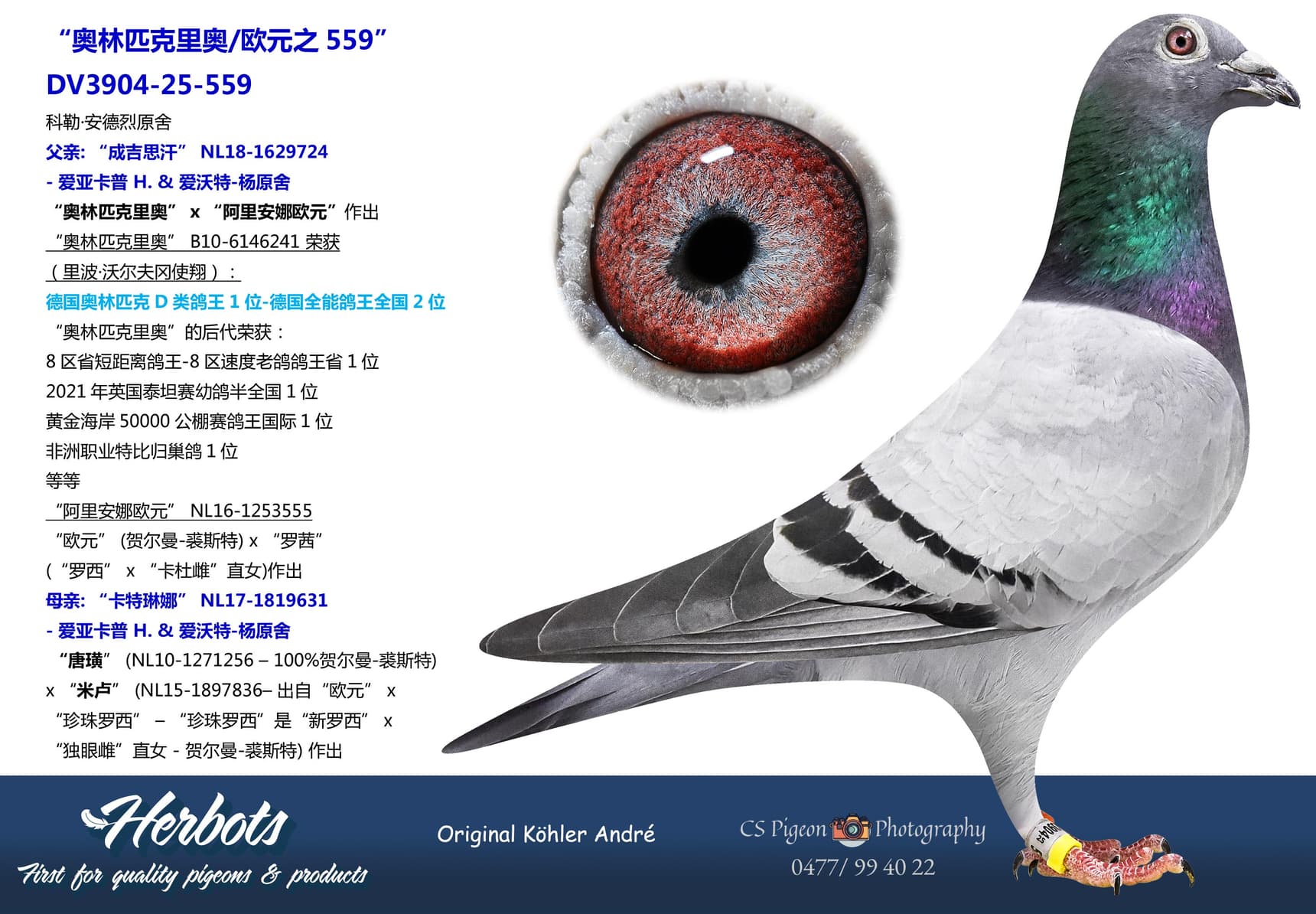 pigeon: “奥林匹克里奥/欧元之559”