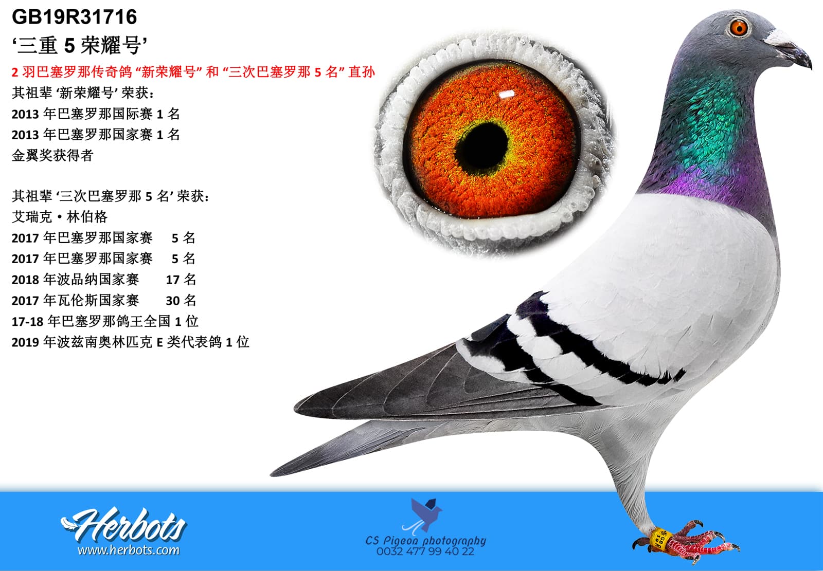 pigeon: undefined