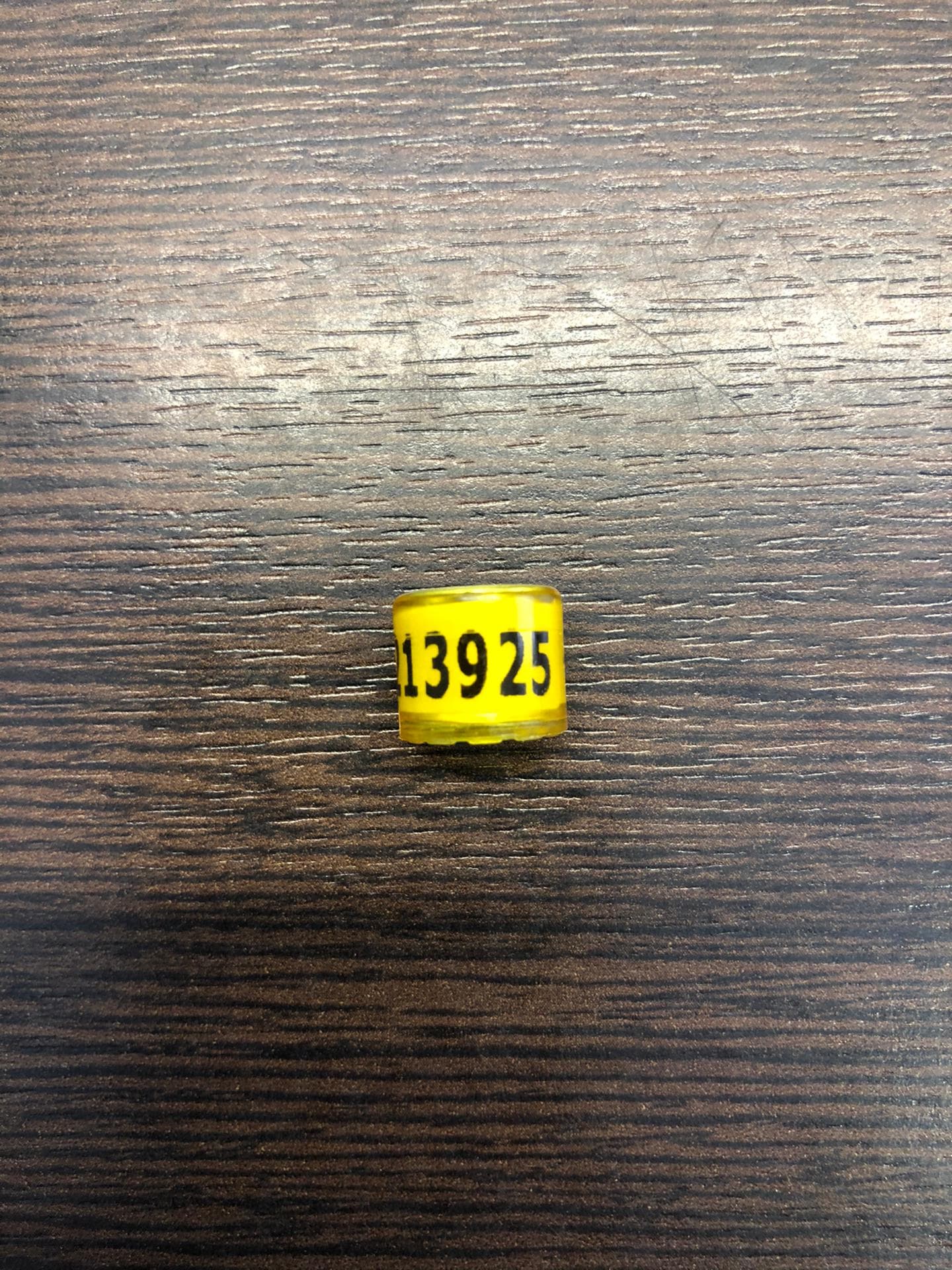 pigeon: “925-Son Kittel”