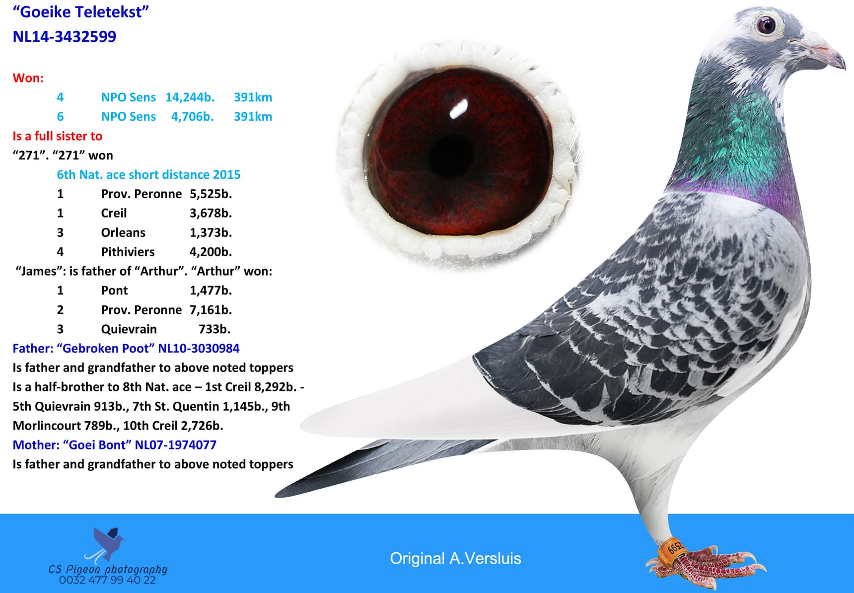 pigeon: “Goeike Teletekst”