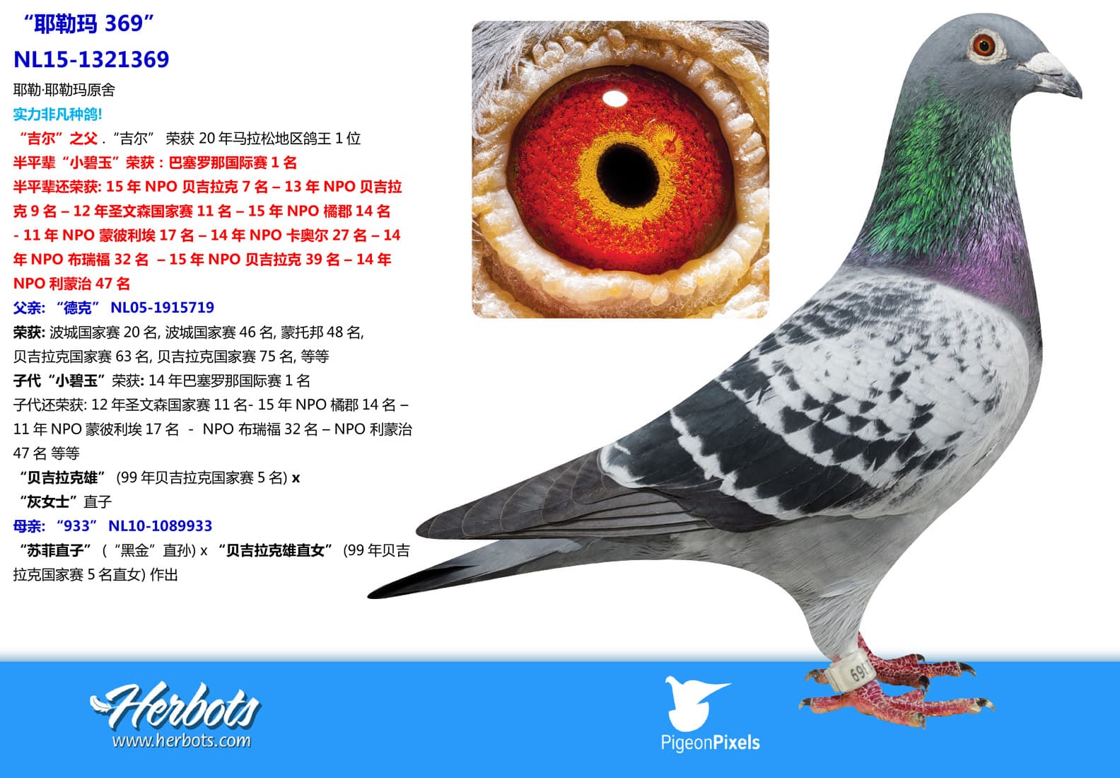 pigeon: undefined