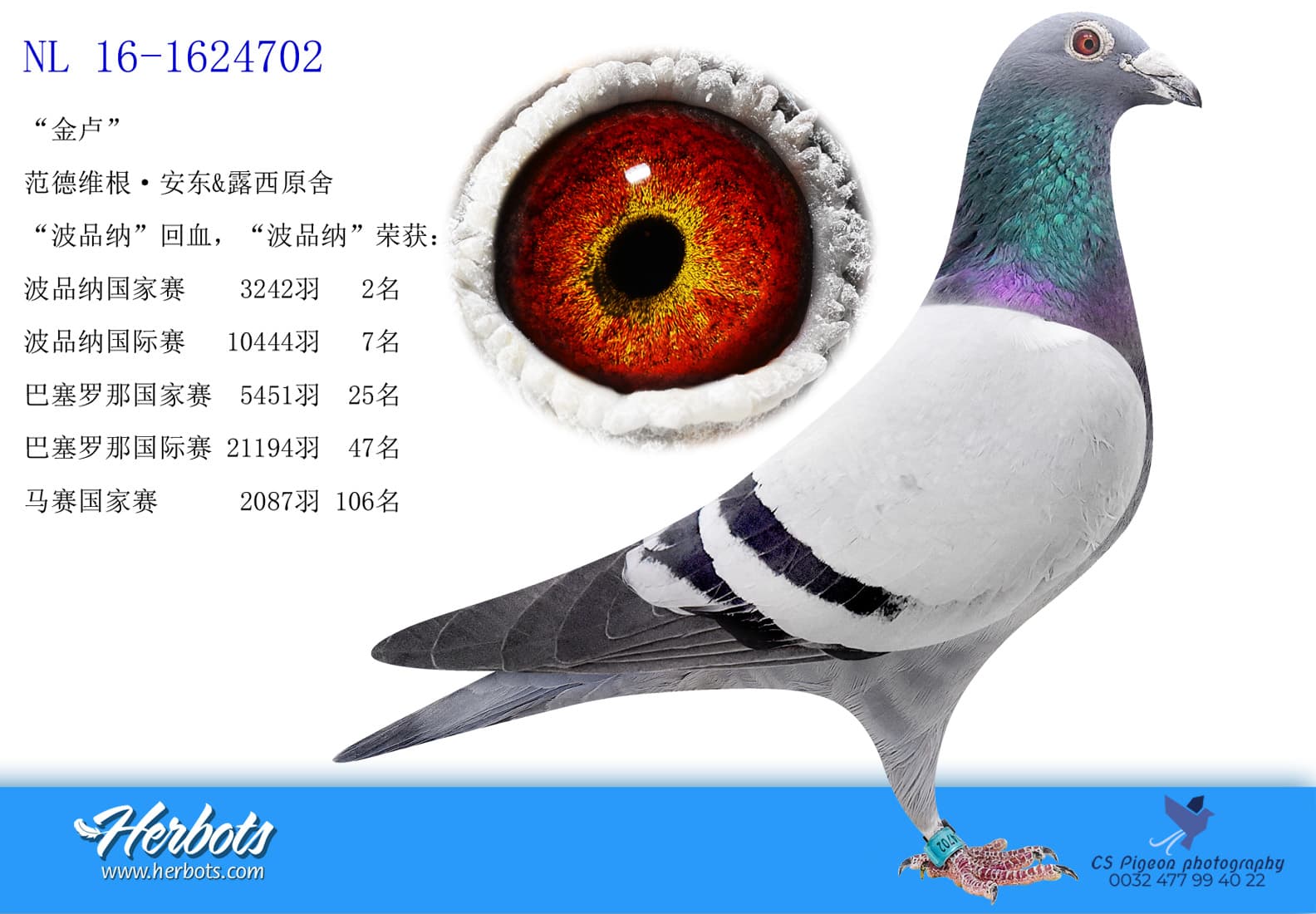 pigeon: undefined