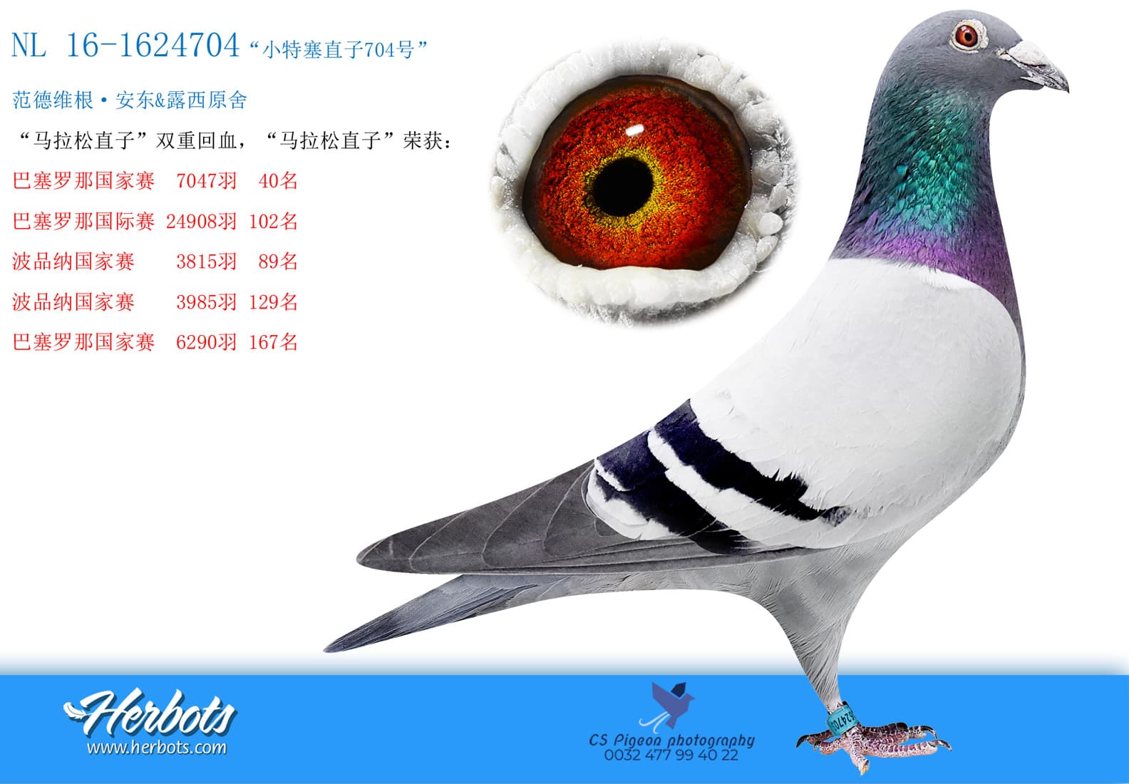 pigeon: undefined
