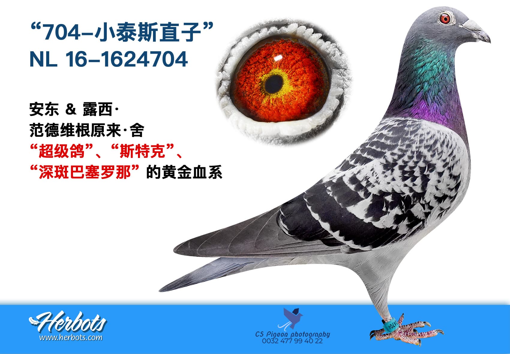 pigeon: undefined