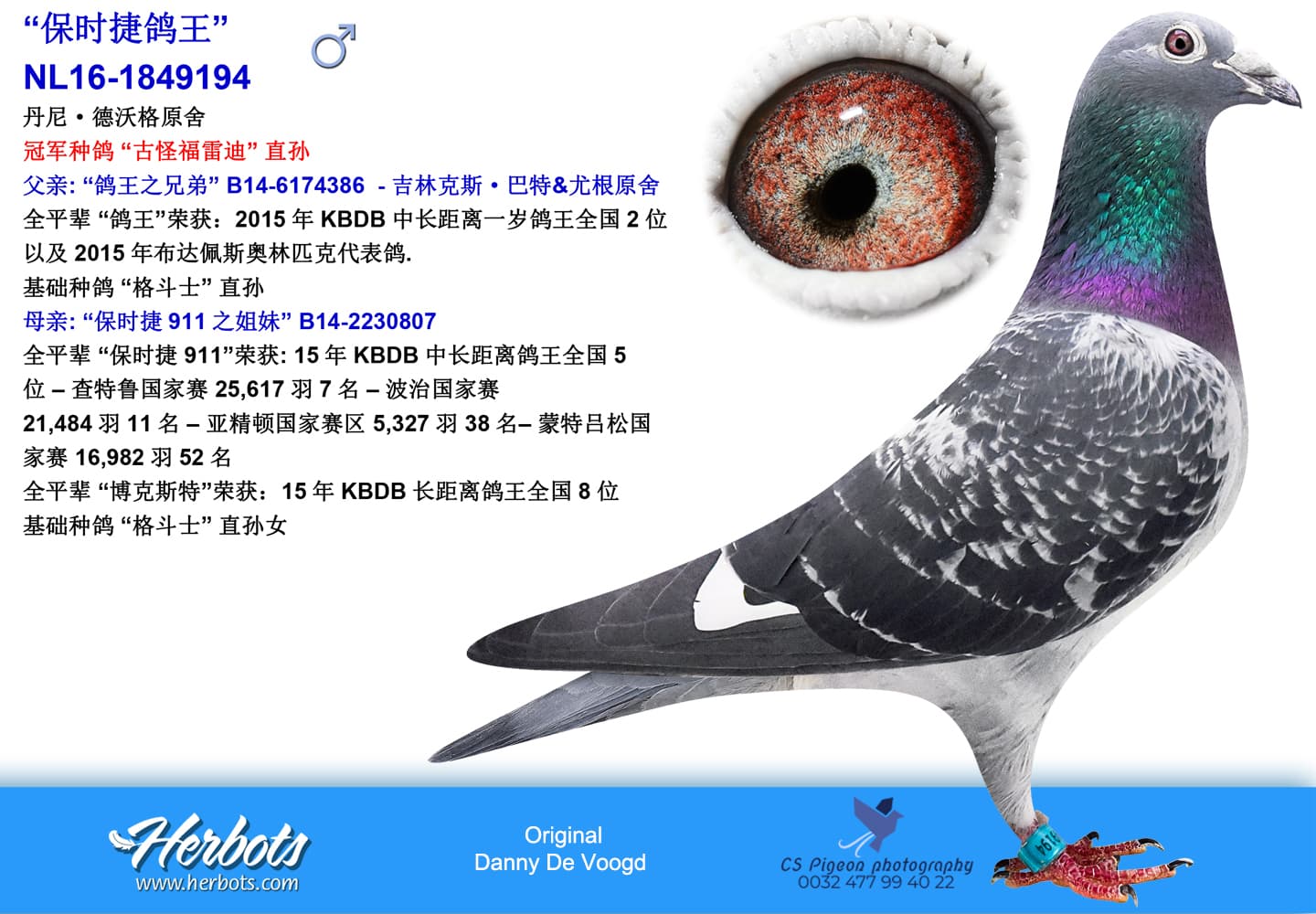 pigeon: undefined