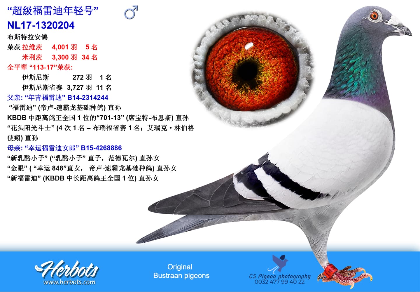 pigeon: undefined