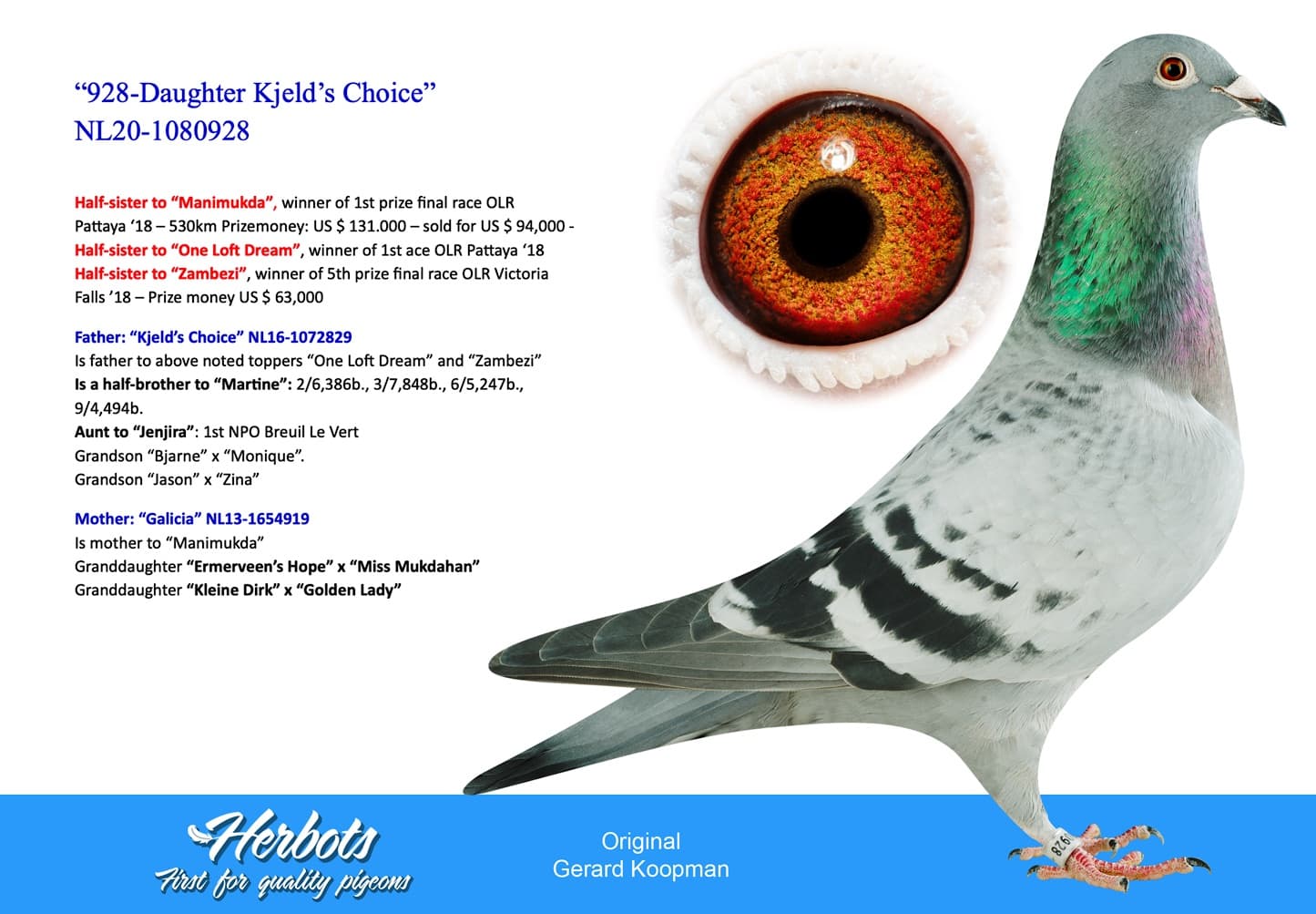 pigeon: “928-Daughter Kjeld’s Choice”