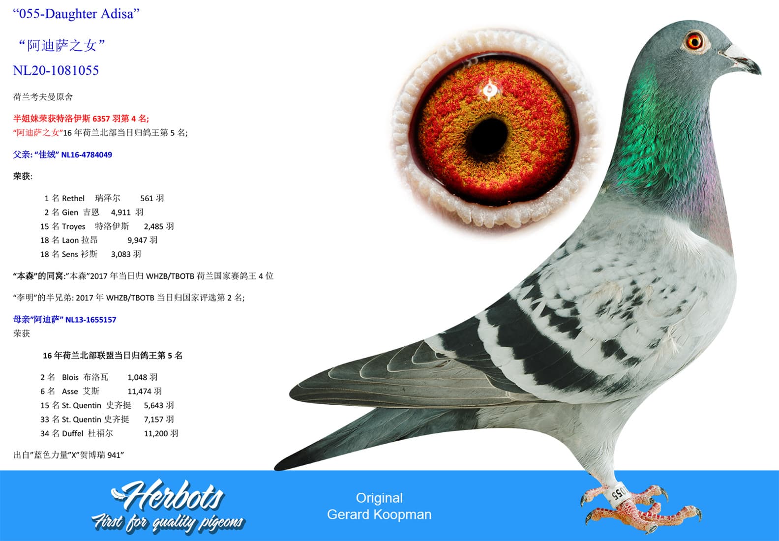 pigeon: undefined
