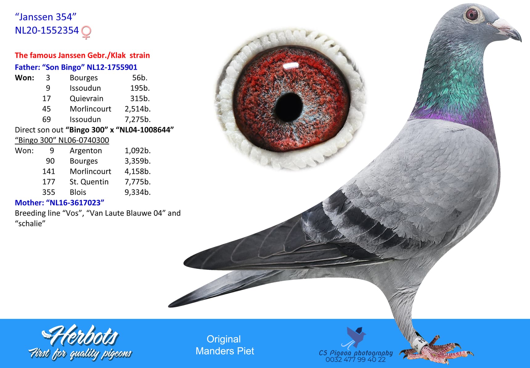 pigeon: undefined
