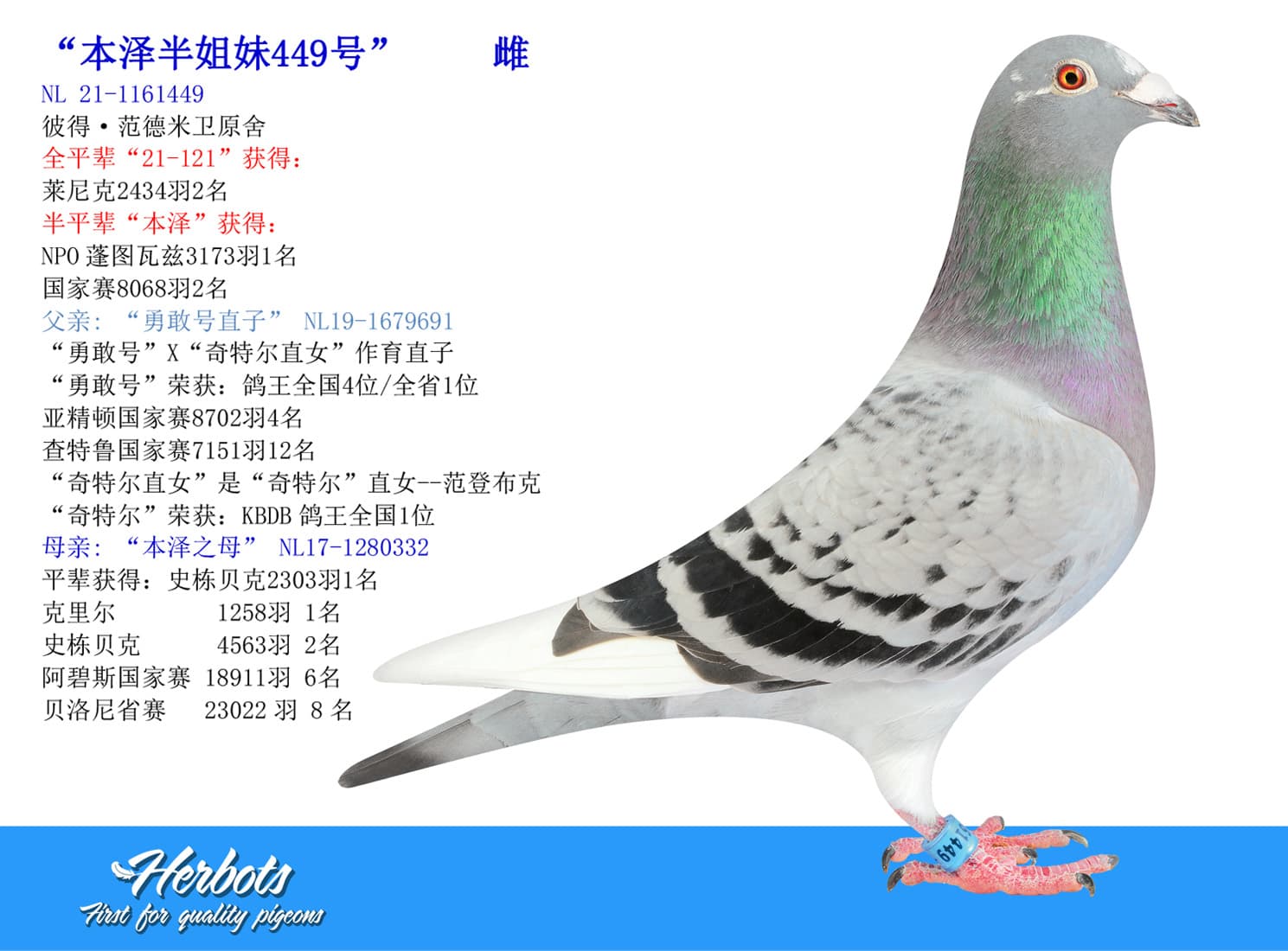 pigeon: undefined