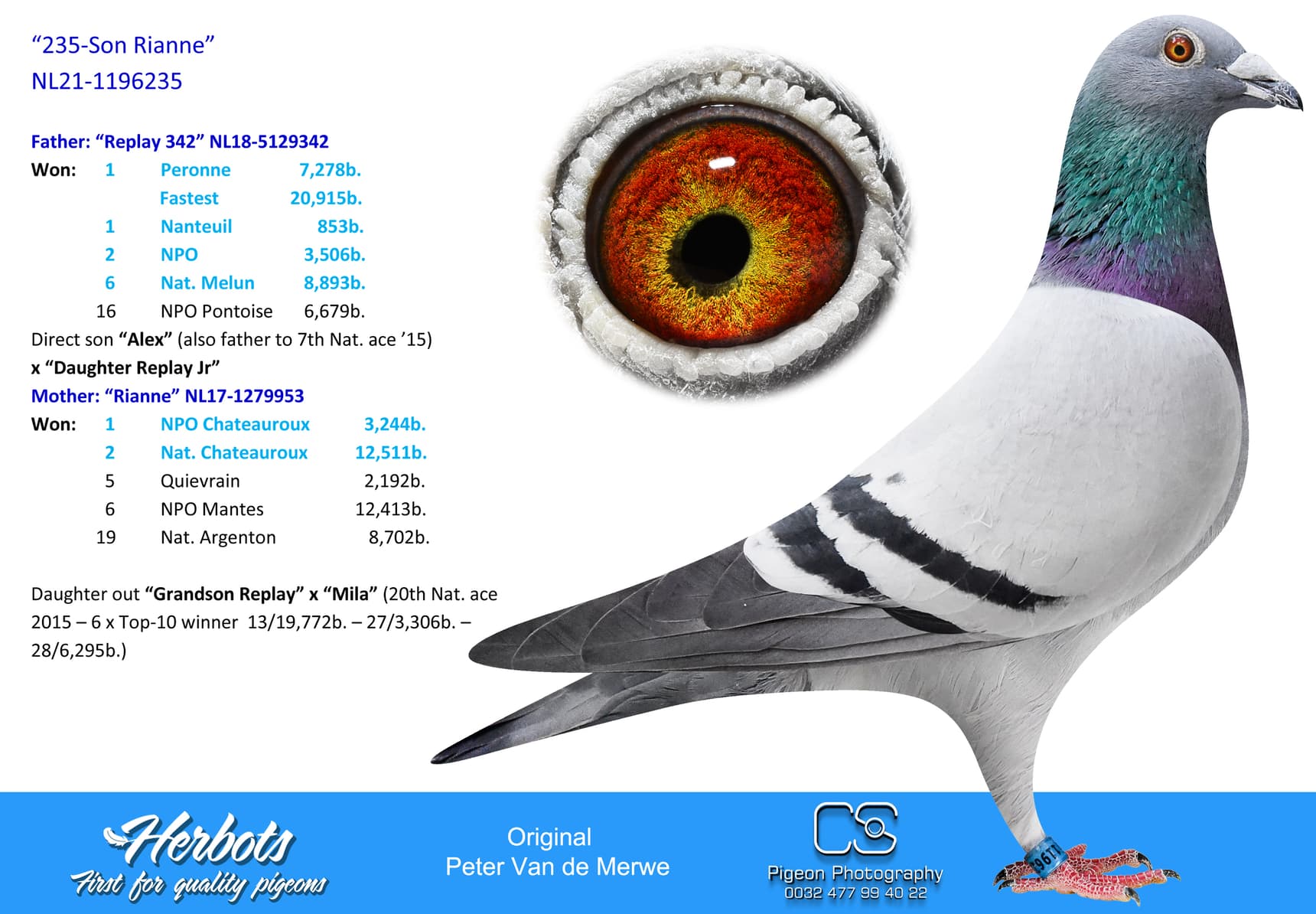pigeon: undefined