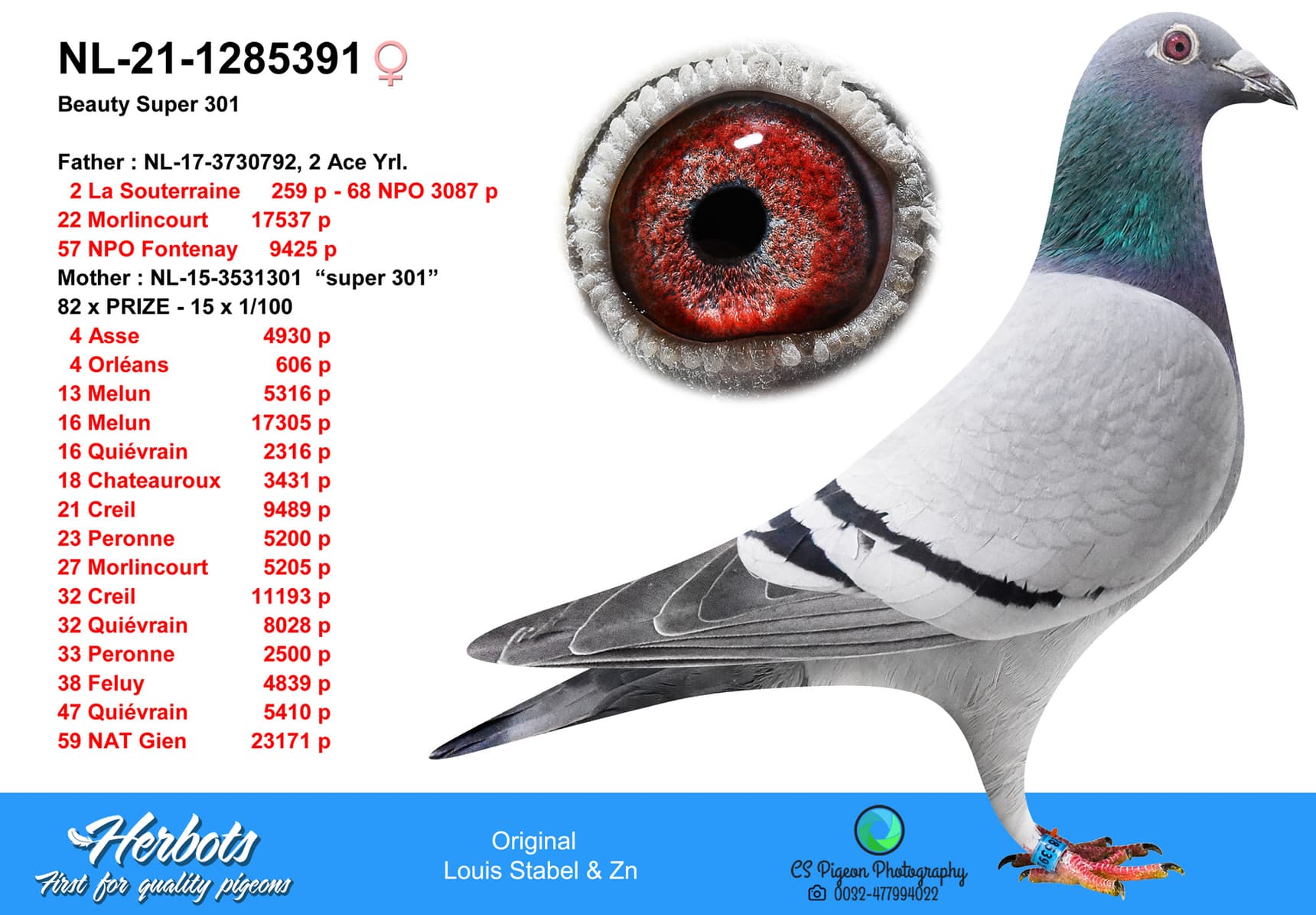 pigeon: Beauty Super 301