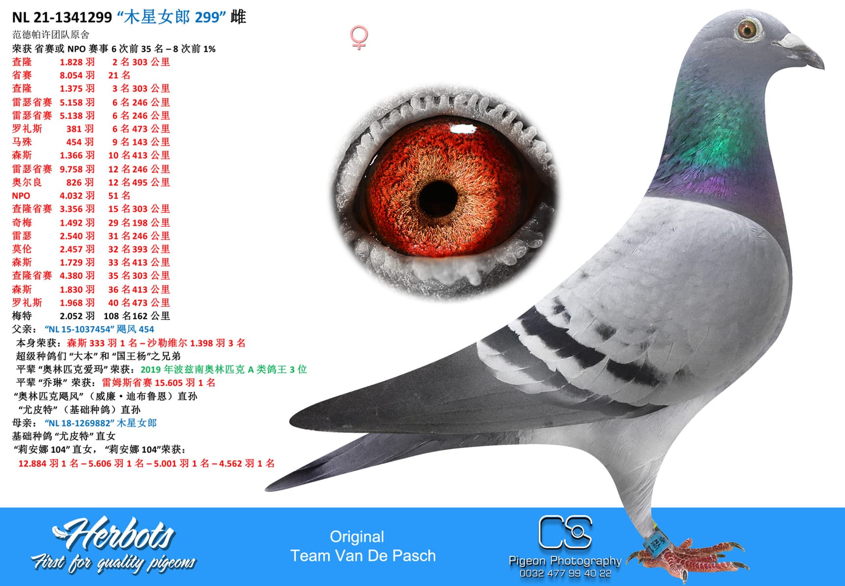 pigeon: “木星女郎 299”